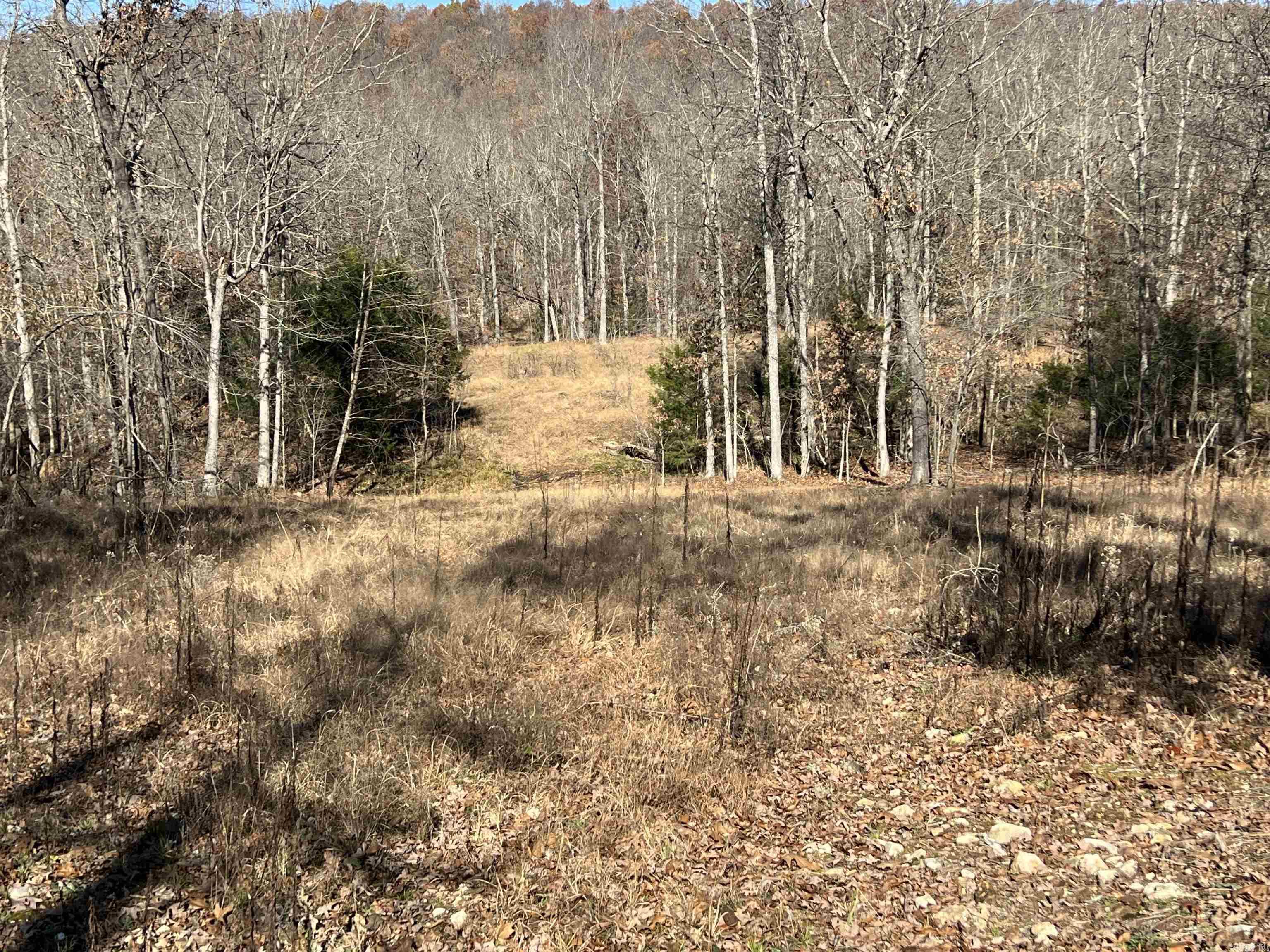 Photo 13 - Vacant Land for sale – 566  Bethany   Ravenden, AR