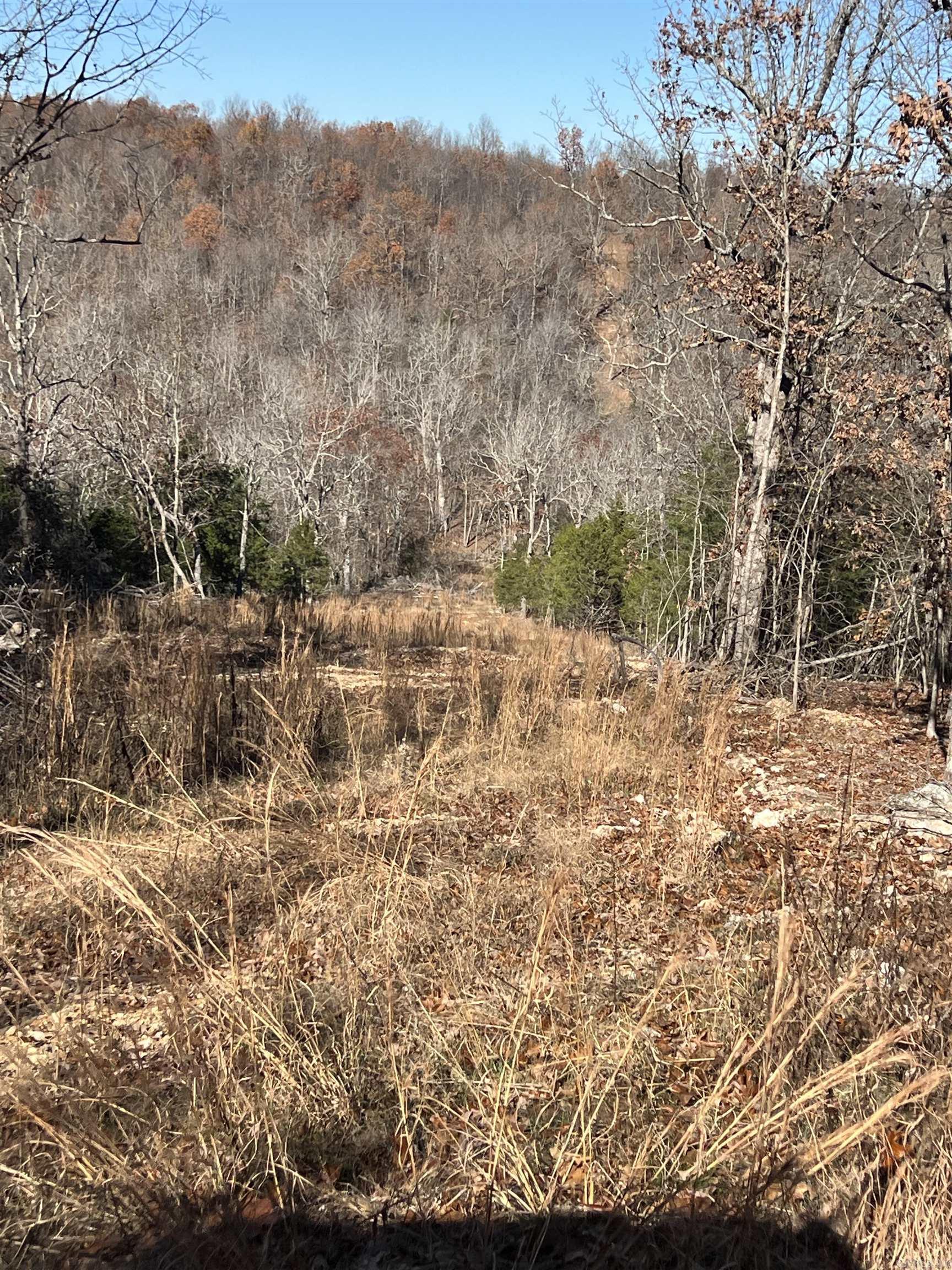 Photo 15 - Vacant Land for sale – 566  Bethany   Ravenden, AR