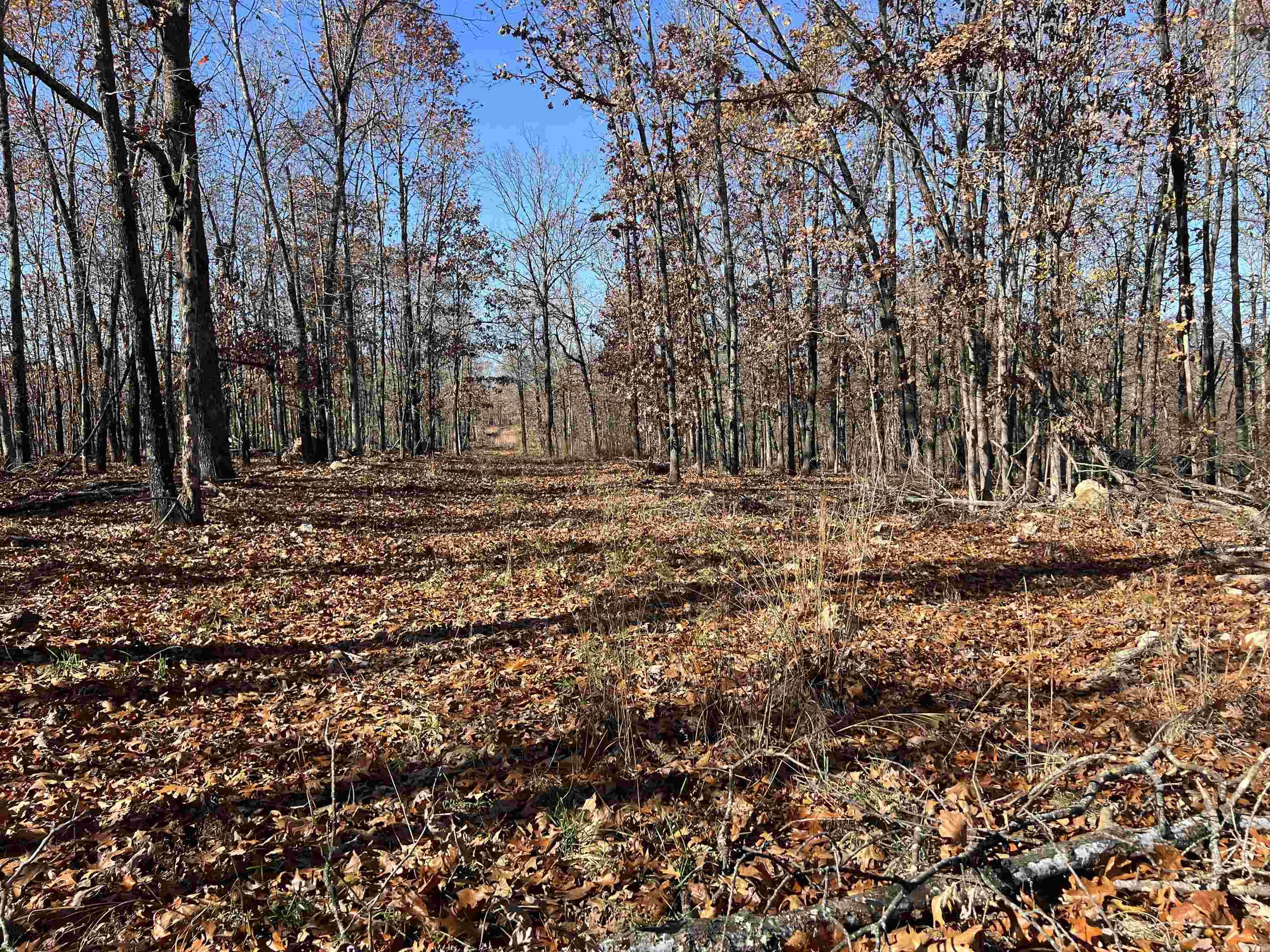 Photo 16 - Vacant Land for sale – 566  Bethany   Ravenden, AR