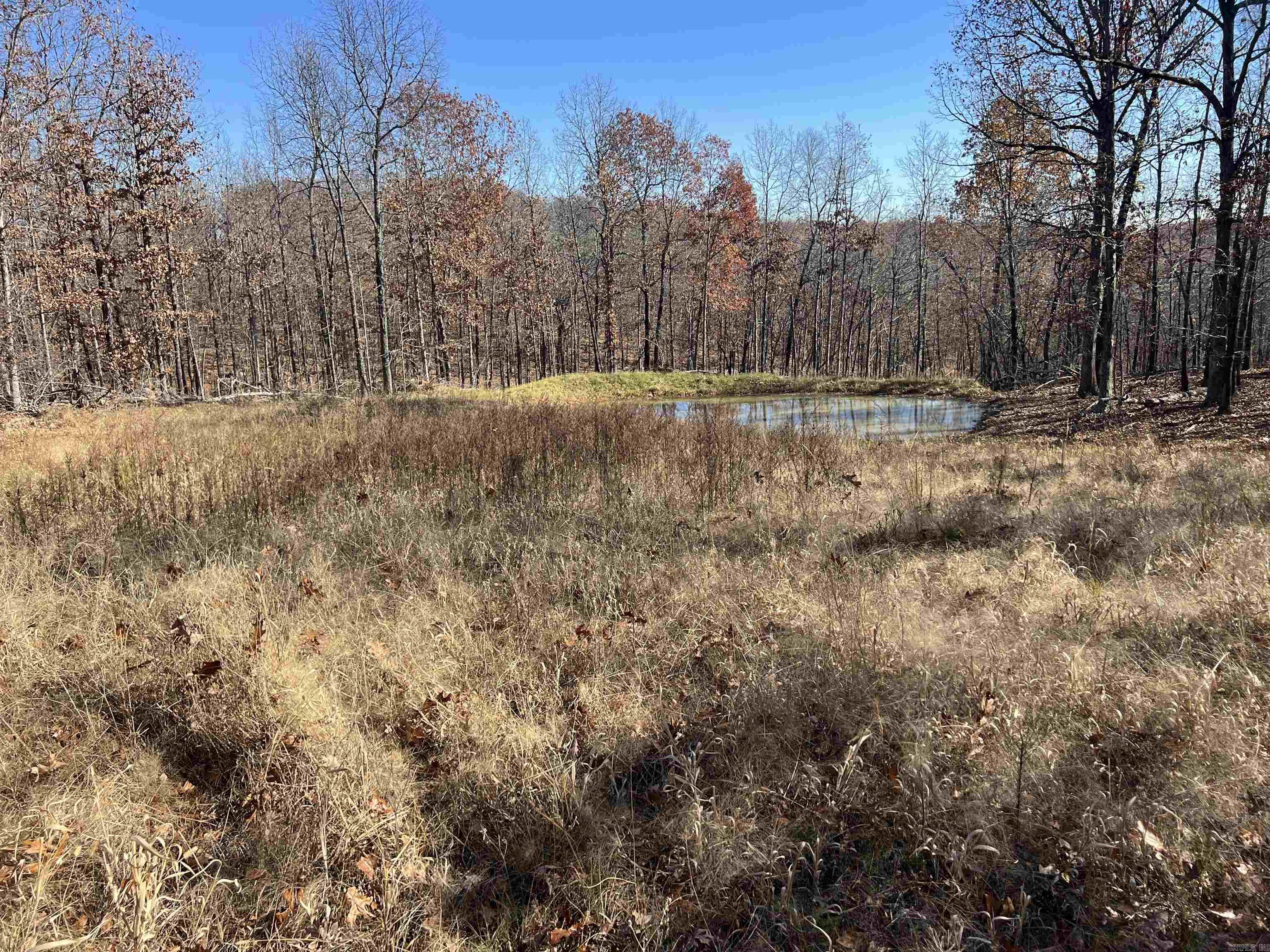 Photo 17 - Vacant Land for sale – 566  Bethany   Ravenden, AR