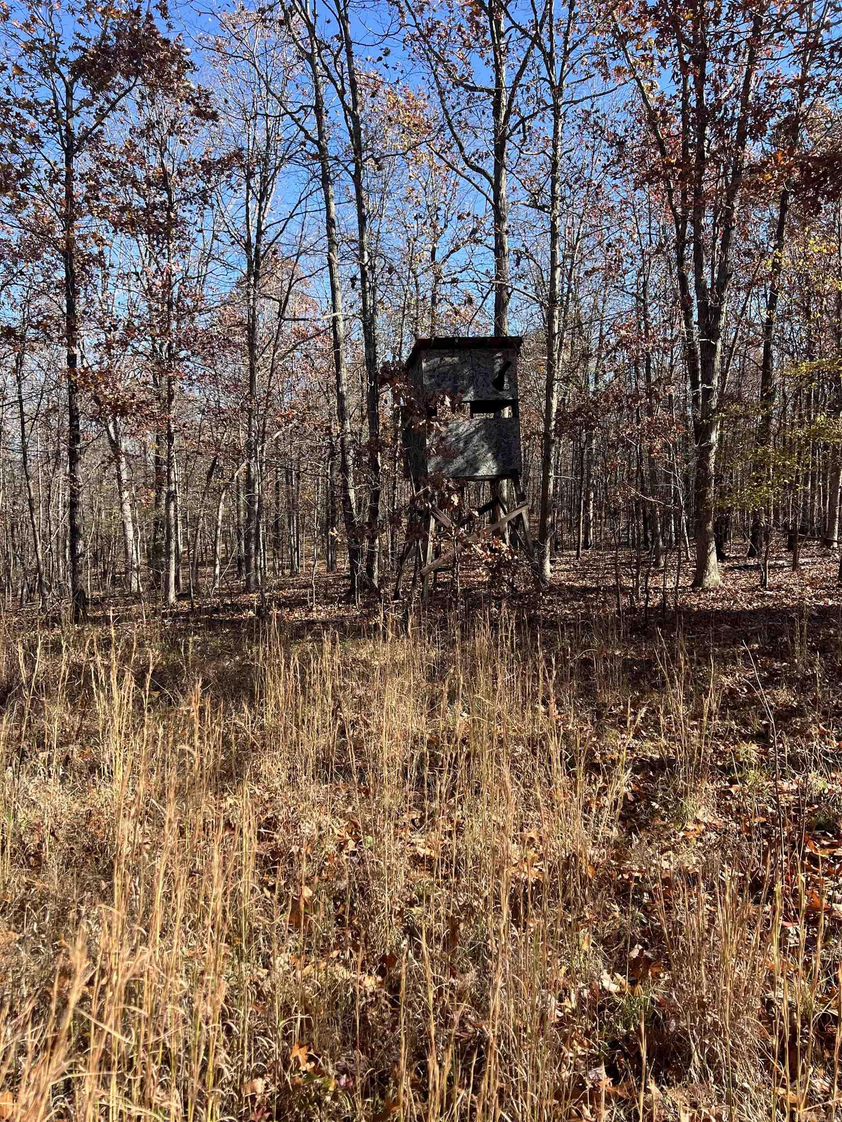 Photo 18 - Vacant Land for sale – 566  Bethany   Ravenden, AR