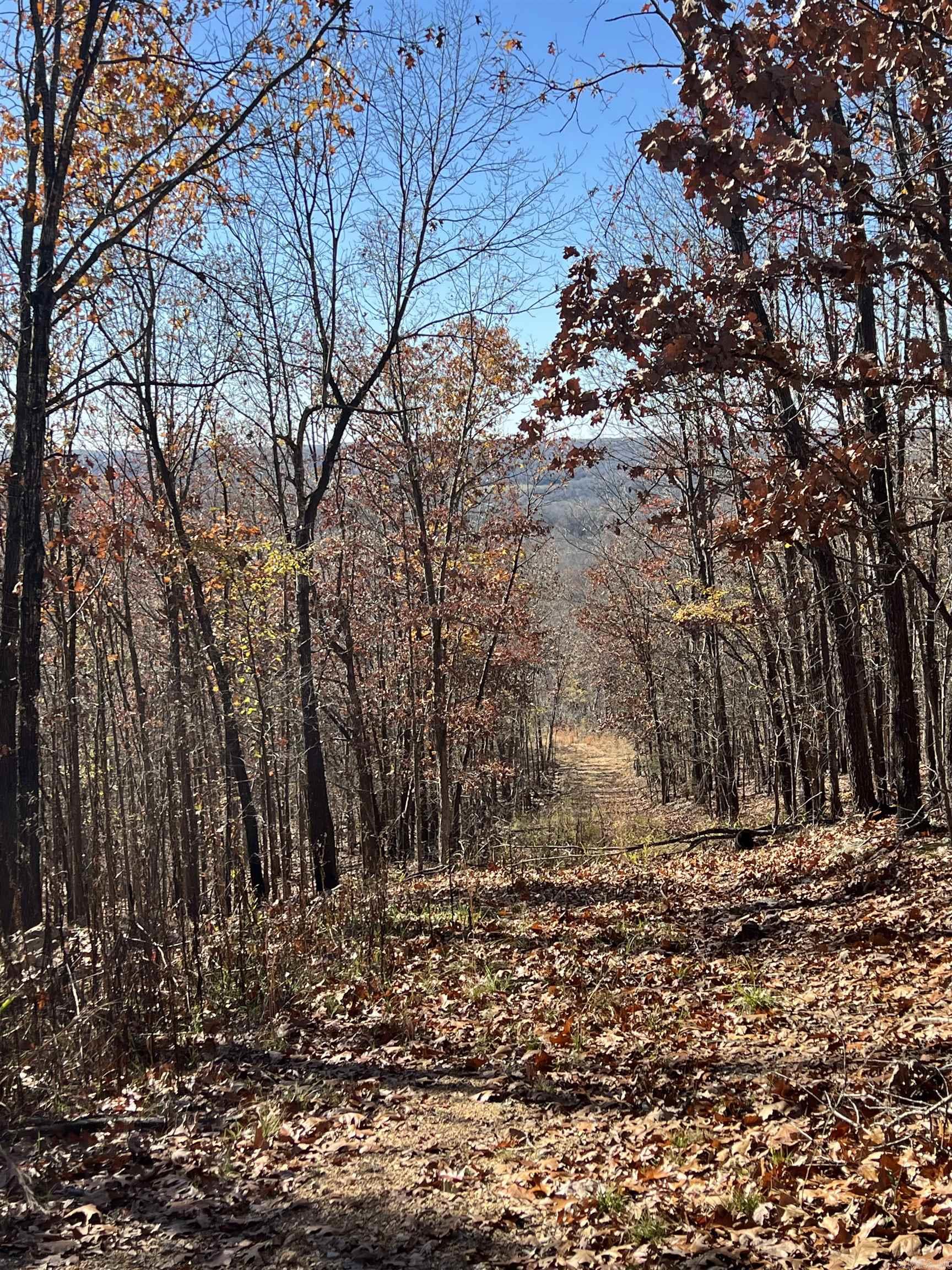 Photo 23 - Vacant Land for sale – 566  Bethany   Ravenden, AR