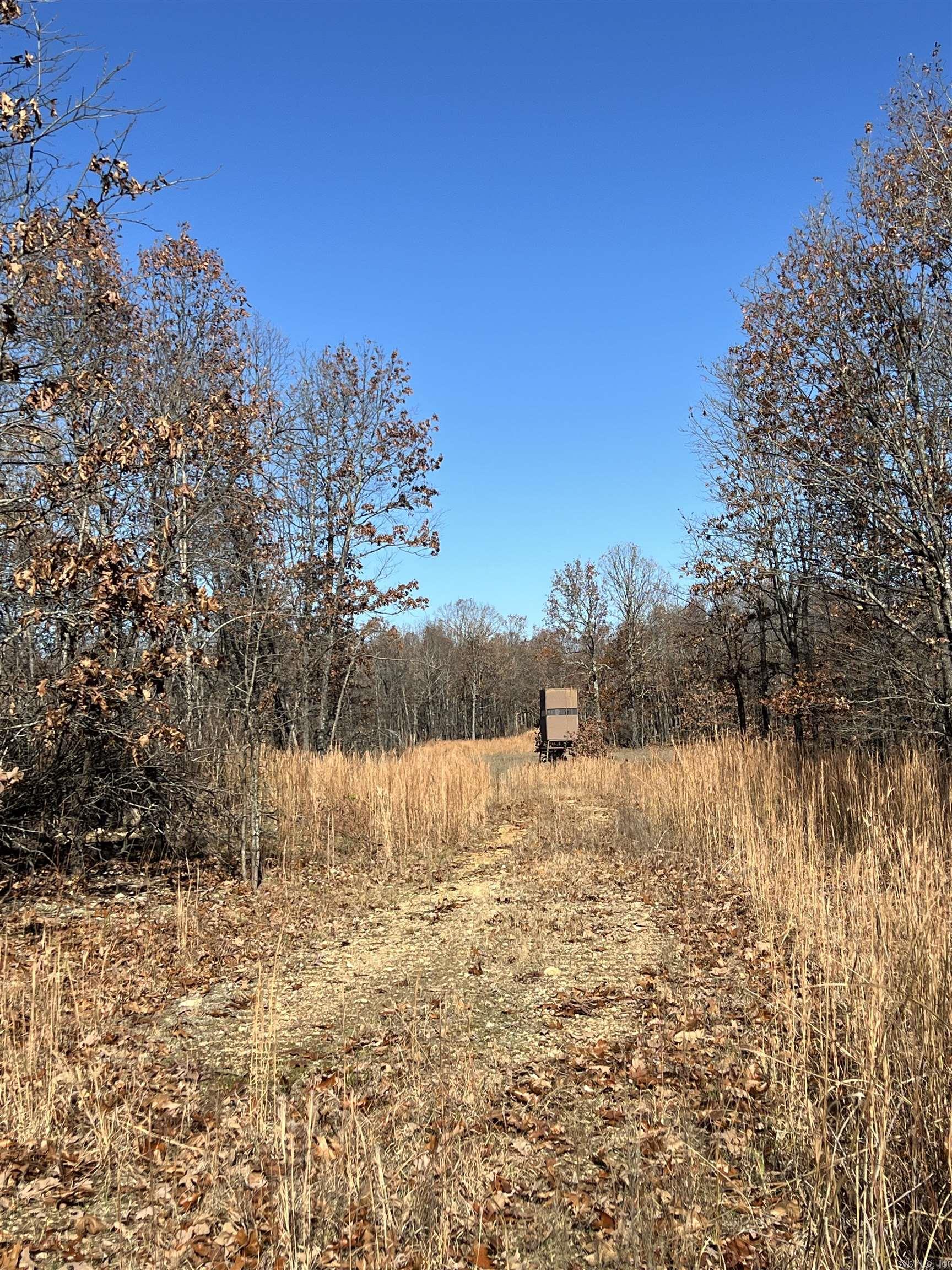 Photo 24 - Vacant Land for sale – 566  Bethany   Ravenden, AR