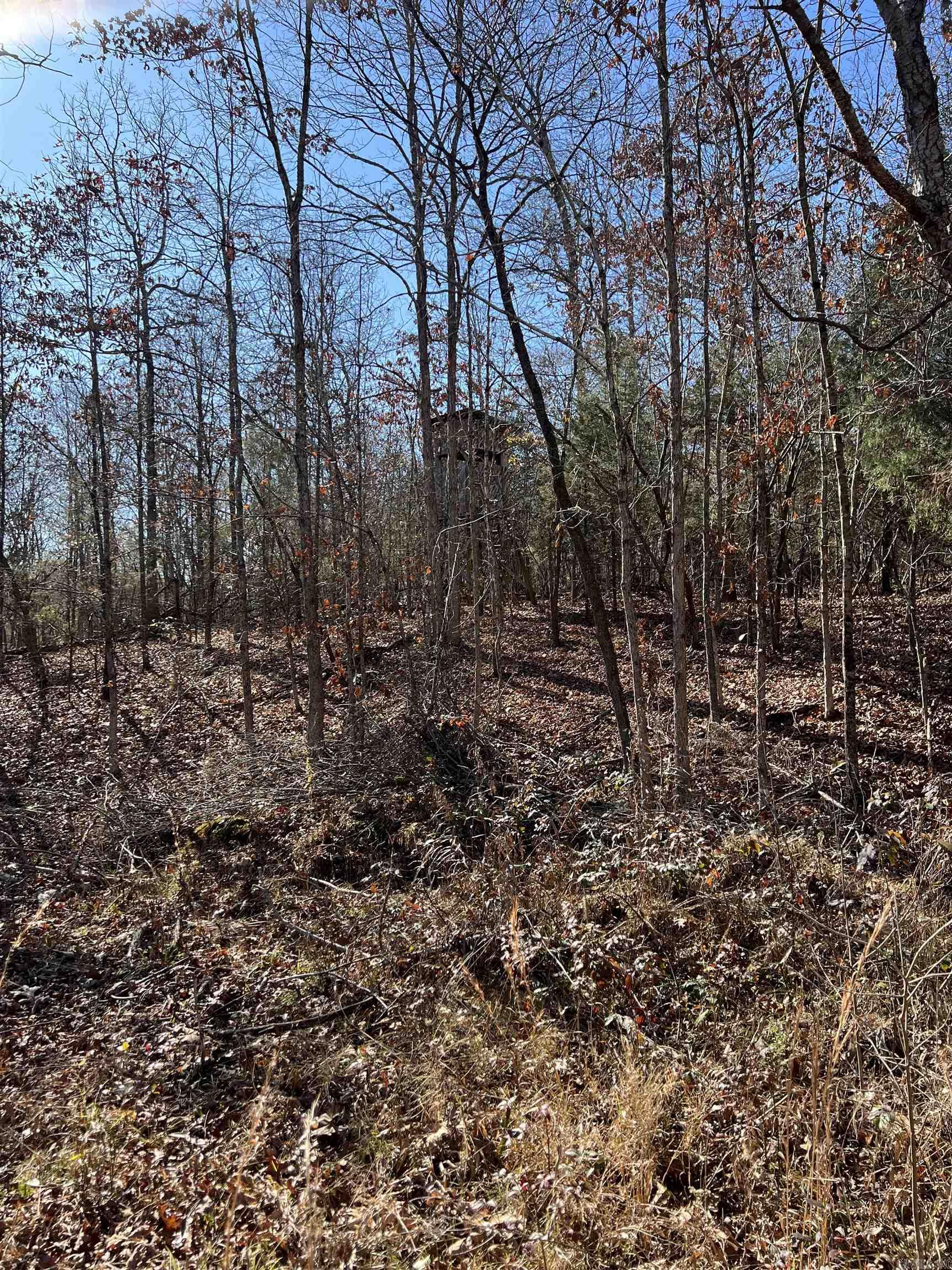 Photo 7 - Vacant Land for sale – 566  Bethany   Ravenden, AR