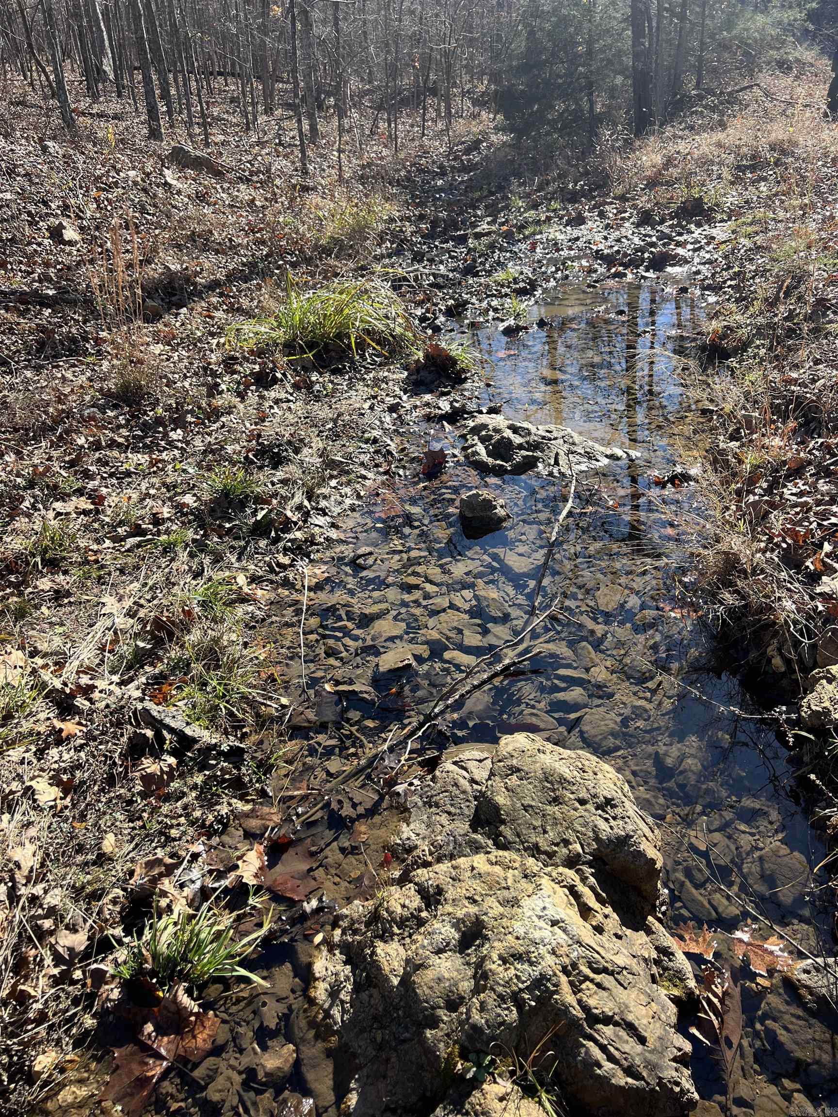 Photo 9 - Vacant Land for sale – 566  Bethany   Ravenden, AR