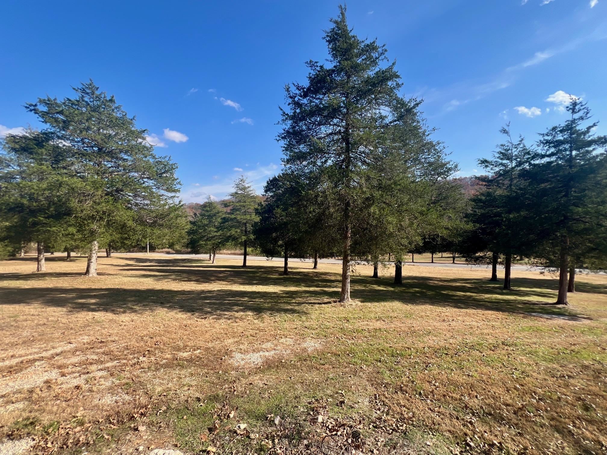 Photo 4 - Vacant Land for sale – 165  River   Hardy, AR