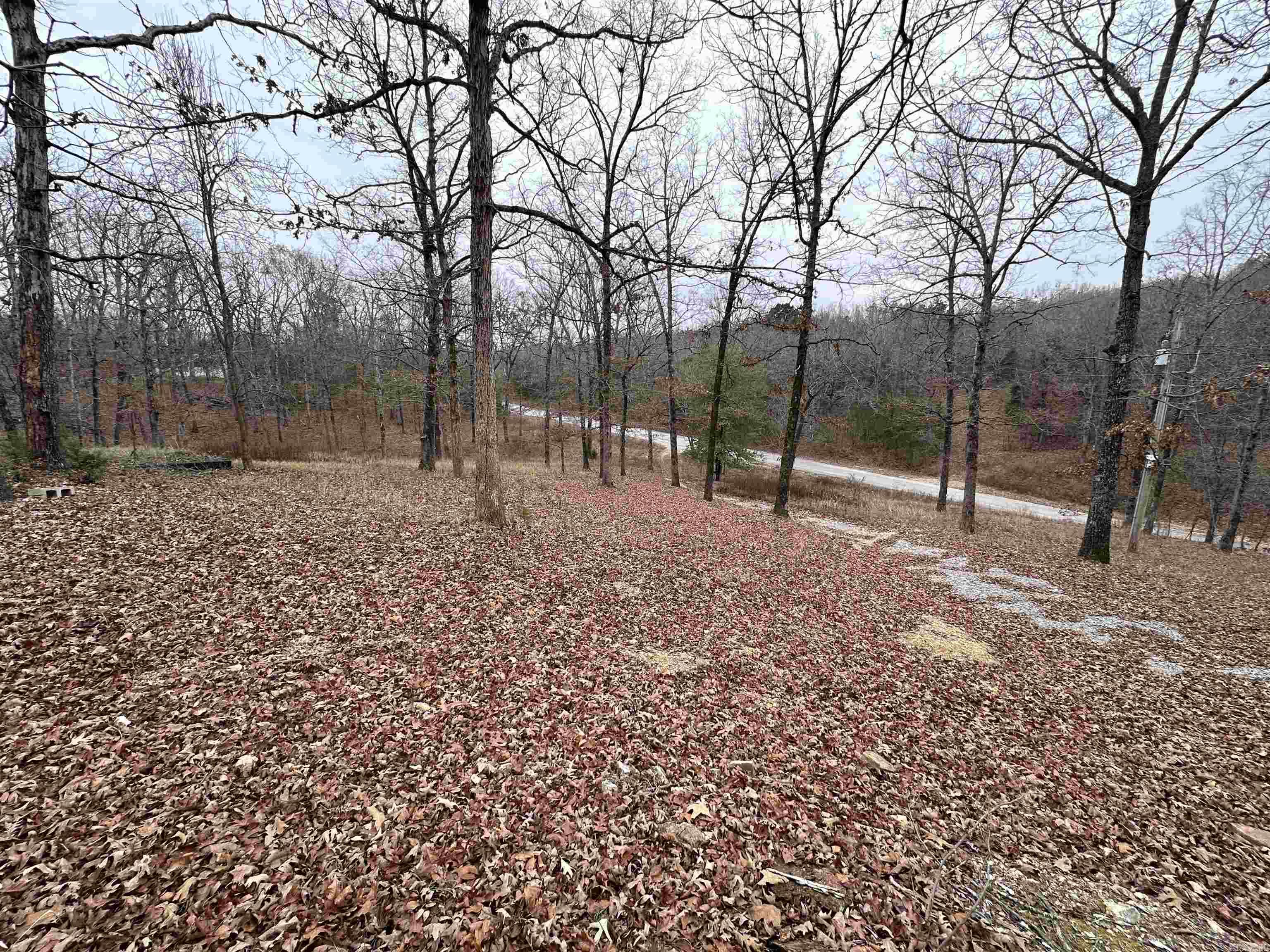 Photo 6 - Residential for sale – 1290  Cave Creek Rd   Batesville, AR