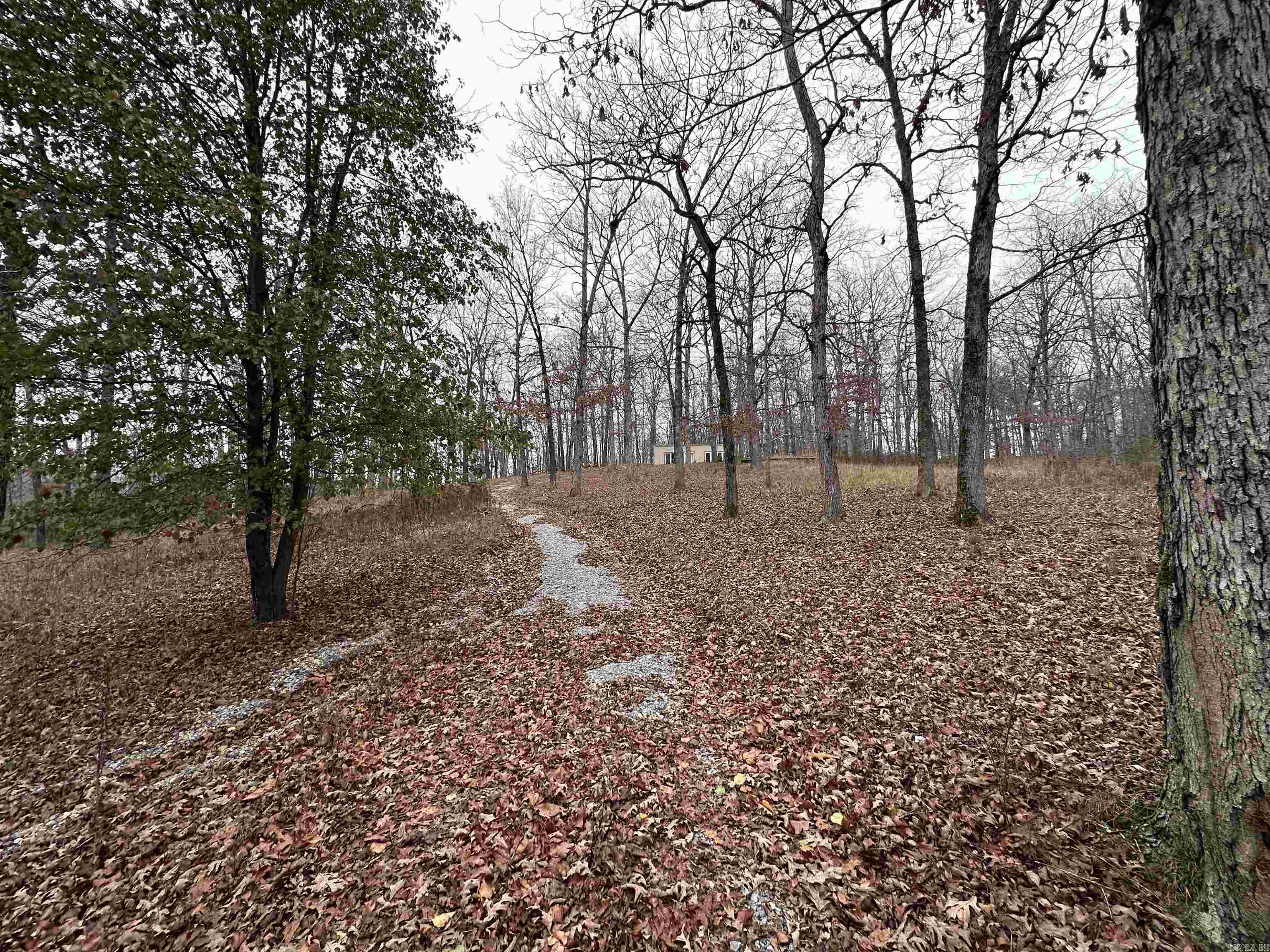 Photo 7 - Residential for sale – 1290  Cave Creek Rd   Batesville, AR