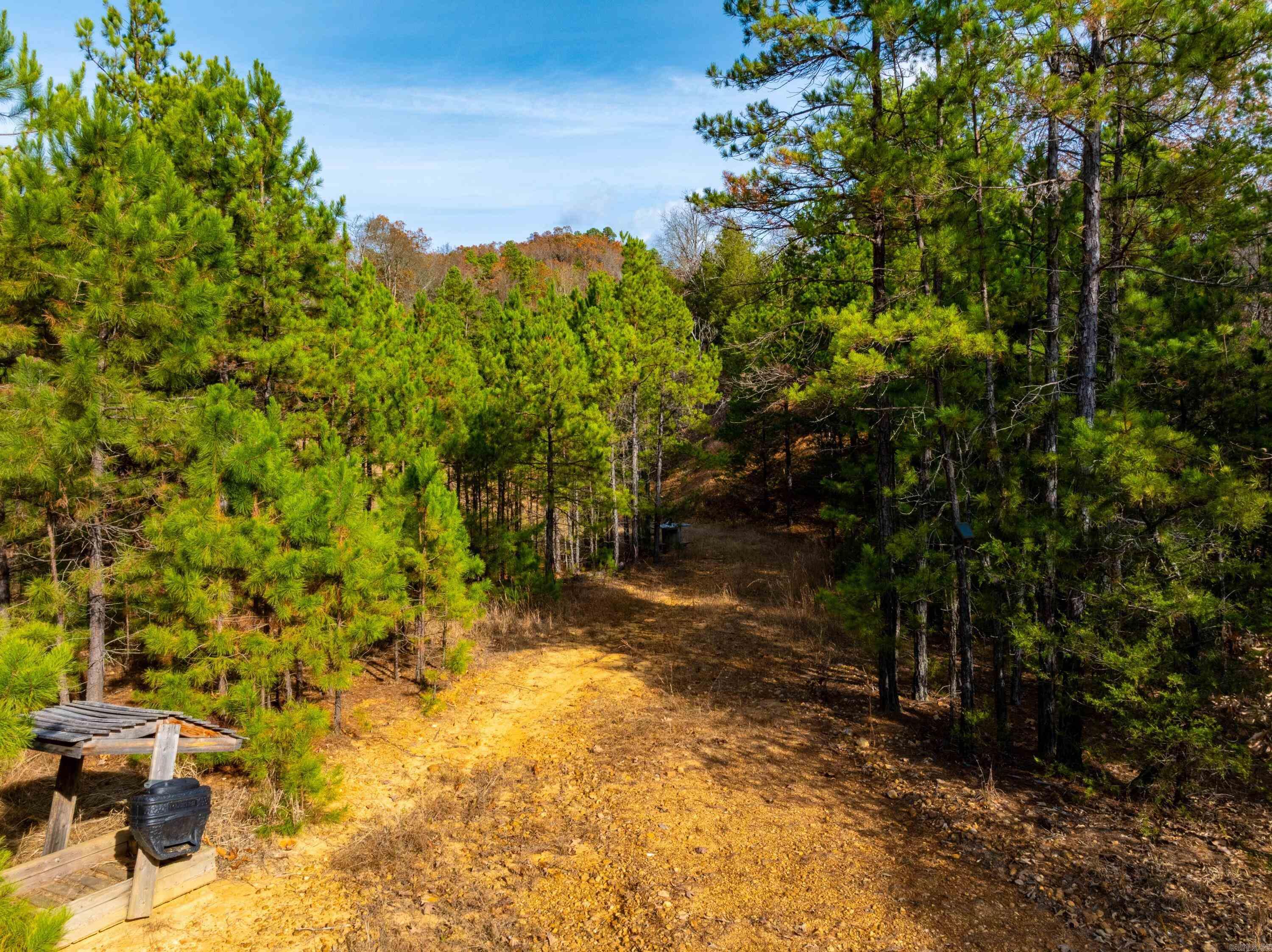 Photo 17 - Residential for sale – 5198  N Boswell Rd   Calico Rock, AR