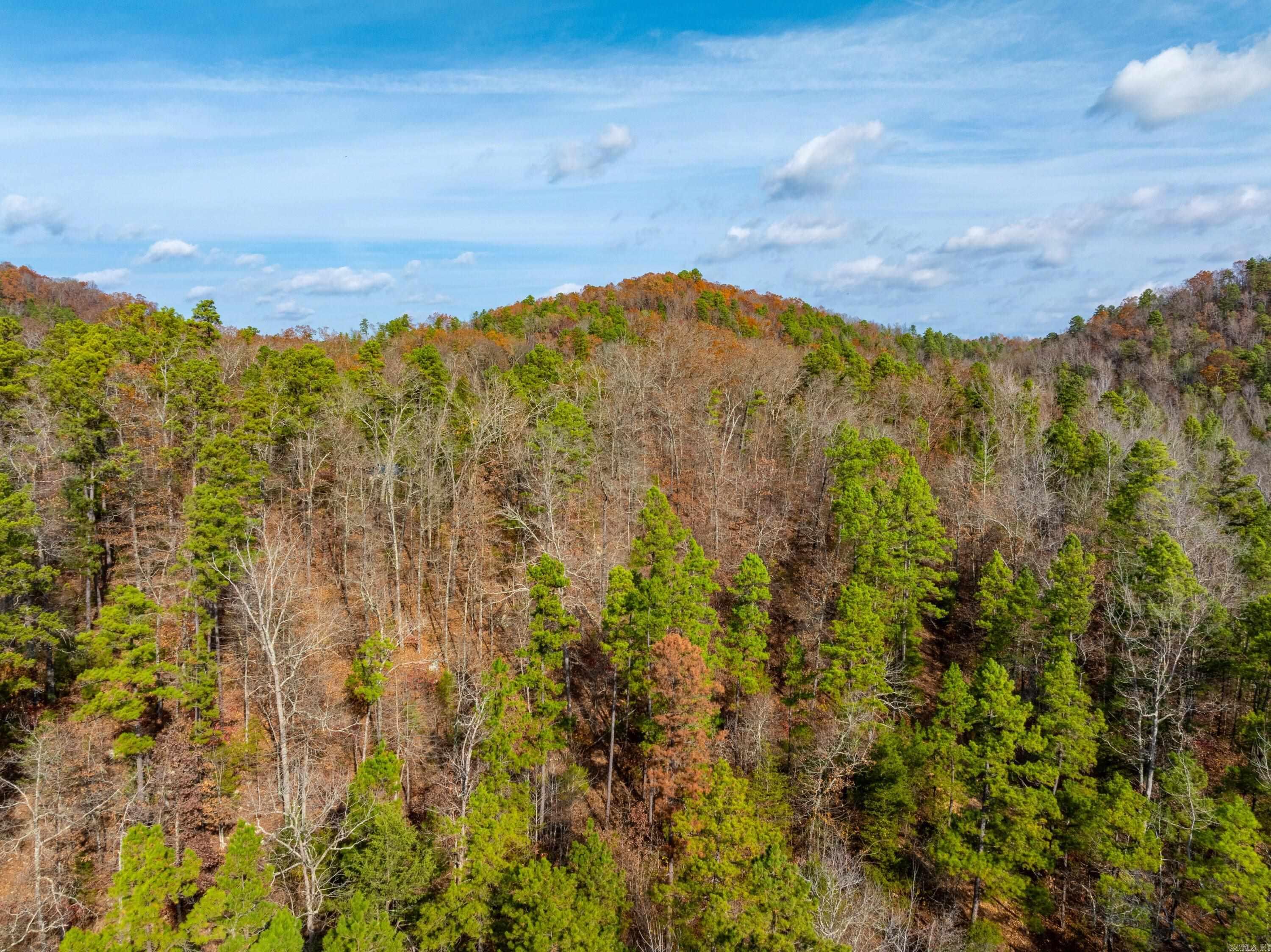 Photo 26 - Residential for sale – 5198  N Boswell Rd   Calico Rock, AR