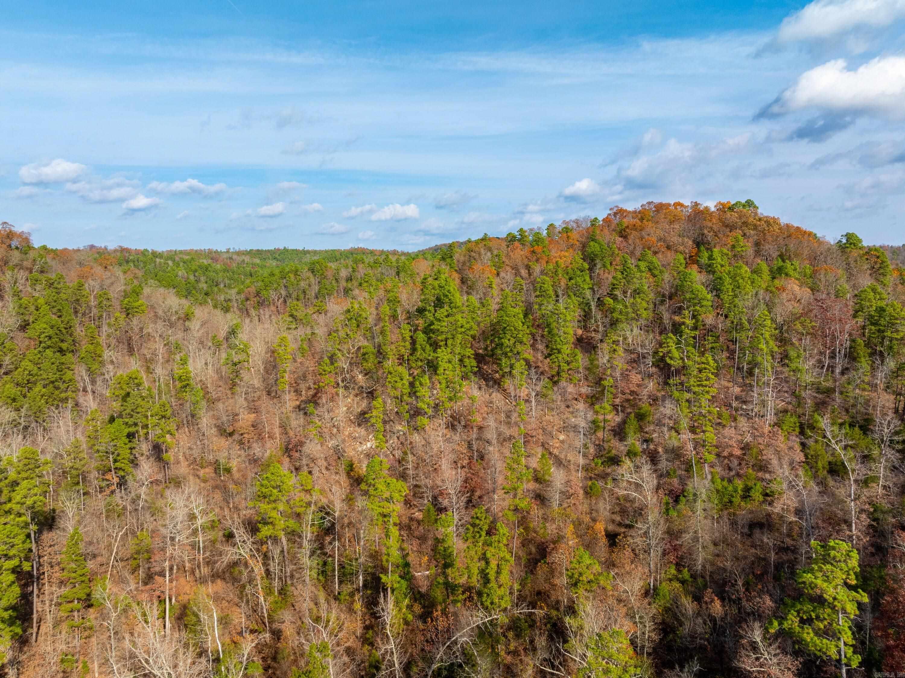 Photo 31 - Residential for sale – 5198  N Boswell Rd   Calico Rock, AR