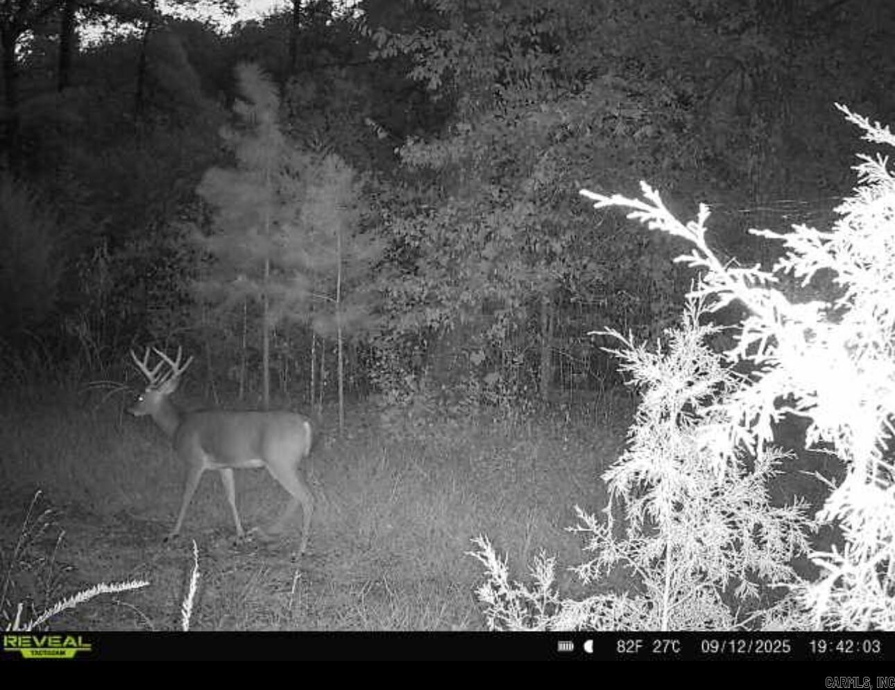 Photo 37 - Residential for sale – 5198  N Boswell Rd   Calico Rock, AR