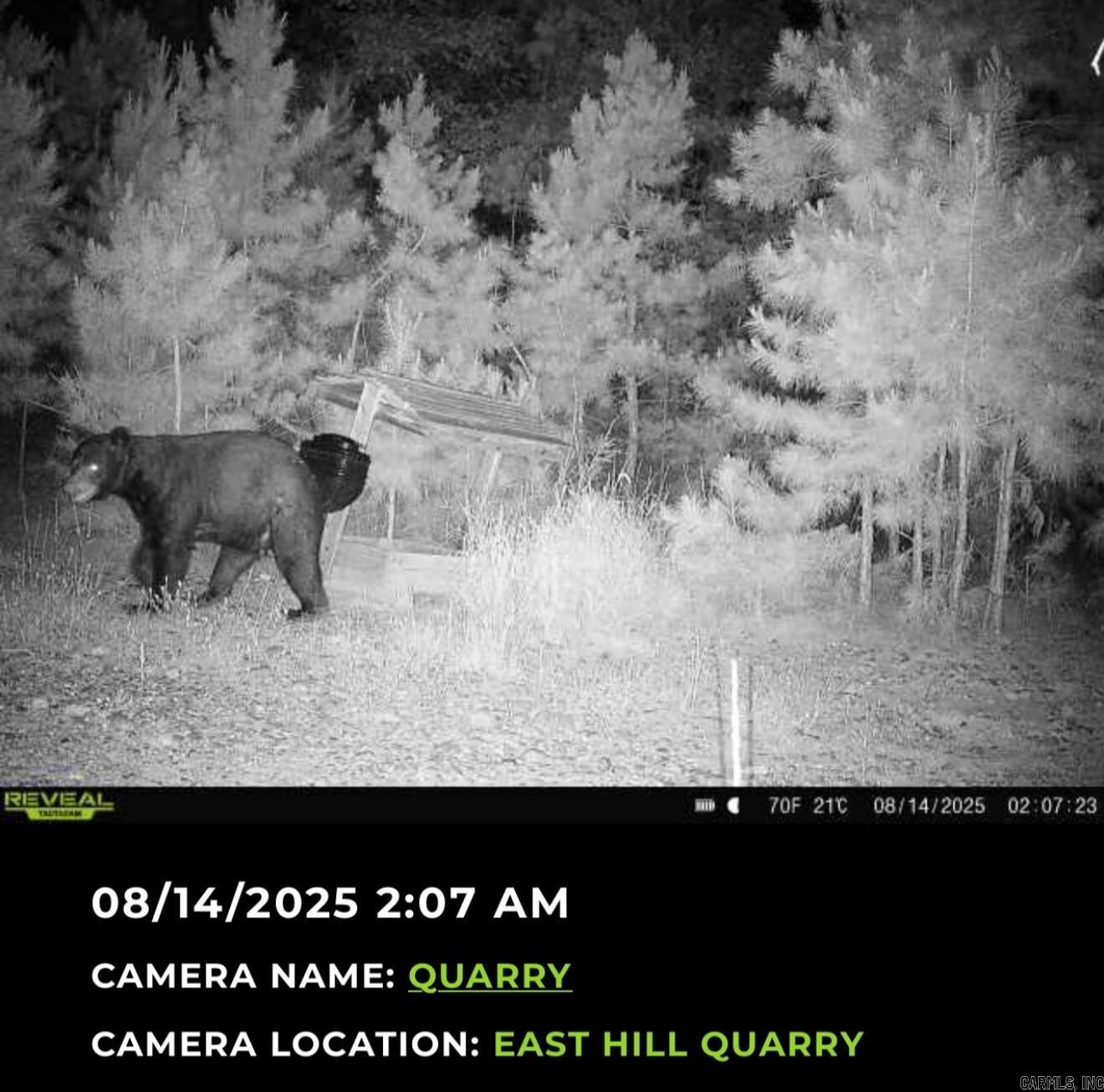 Photo 38 - Residential for sale – 5198  N Boswell Rd   Calico Rock, AR