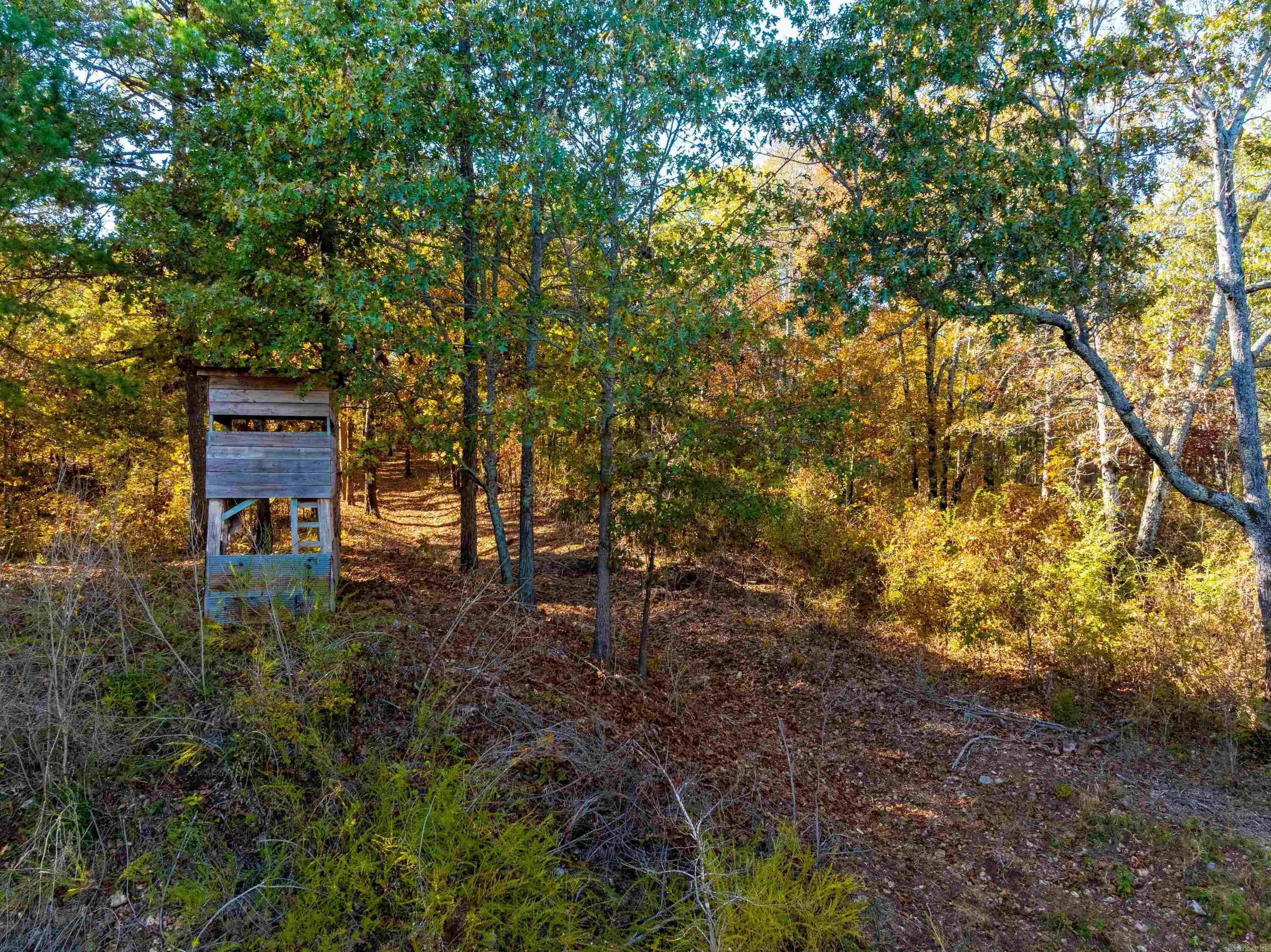 Photo 40 - Residential for sale – 55, 65, & 125  B Rock Ln   Batesville, AR