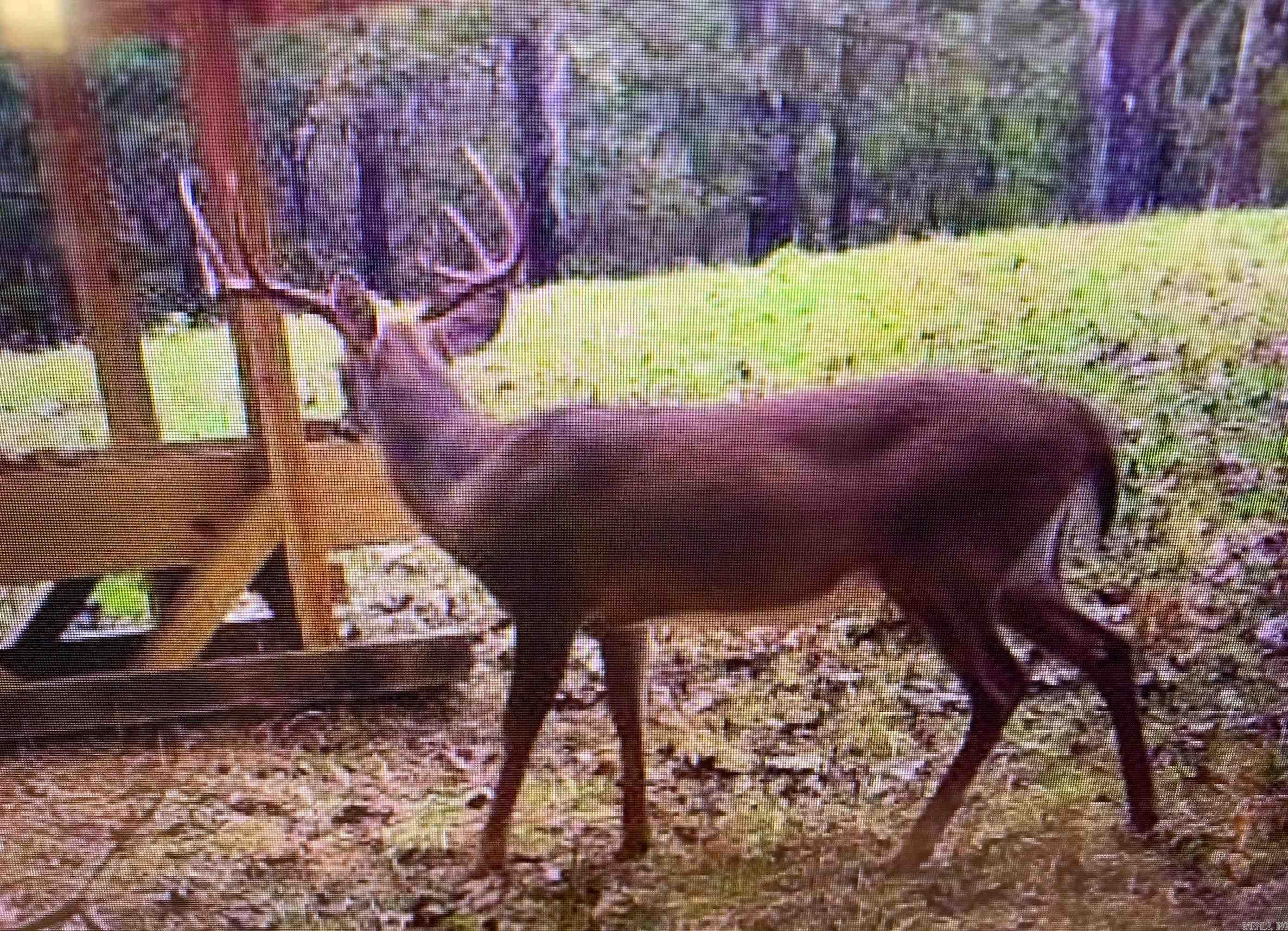 Photo 5 - Residential for sale – 55, 65, & 125  B Rock Ln   Batesville, AR