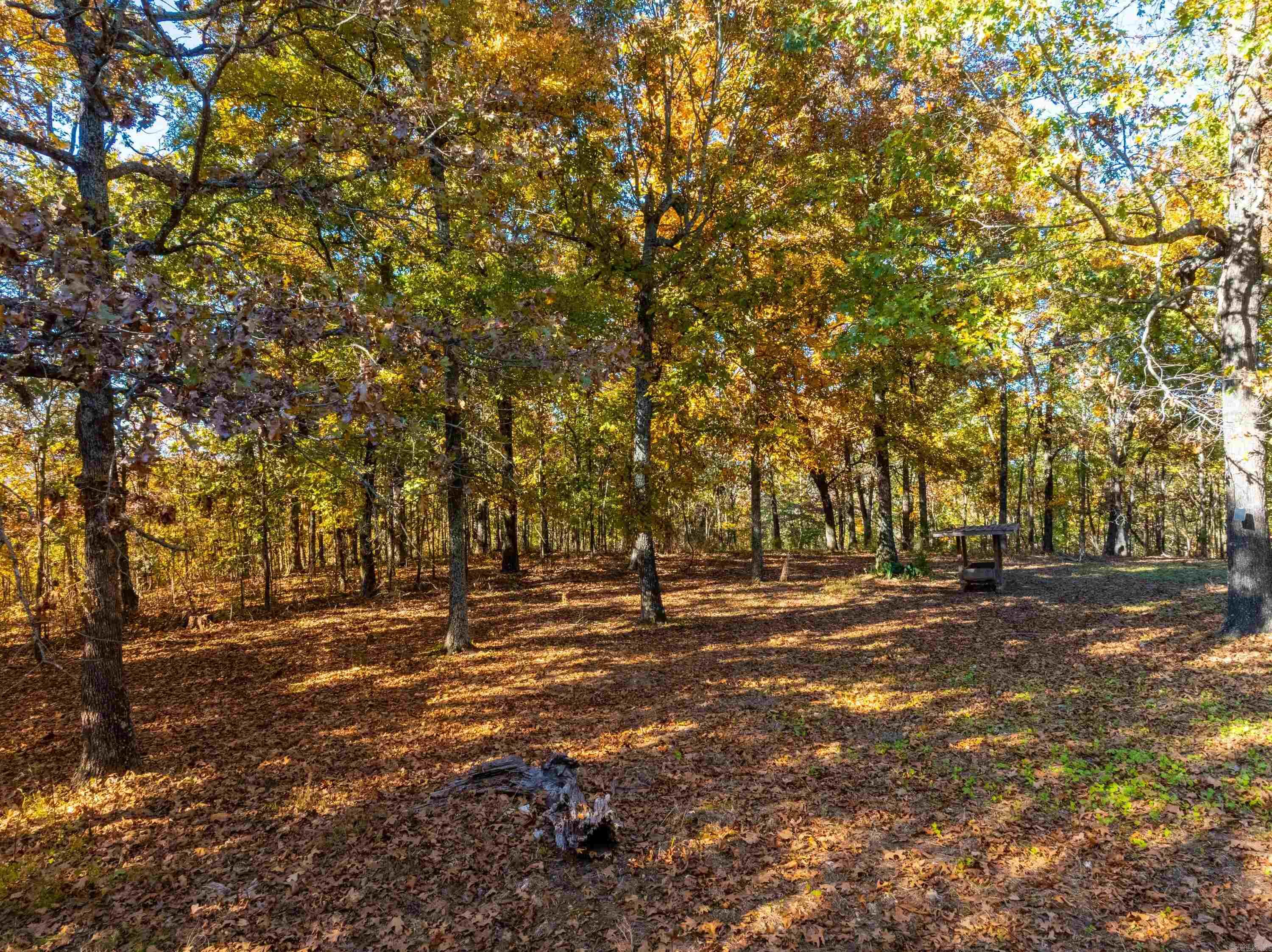 Photo 41 - Residential for sale – 55, 65, & 125  B Rock Ln   Batesville, AR