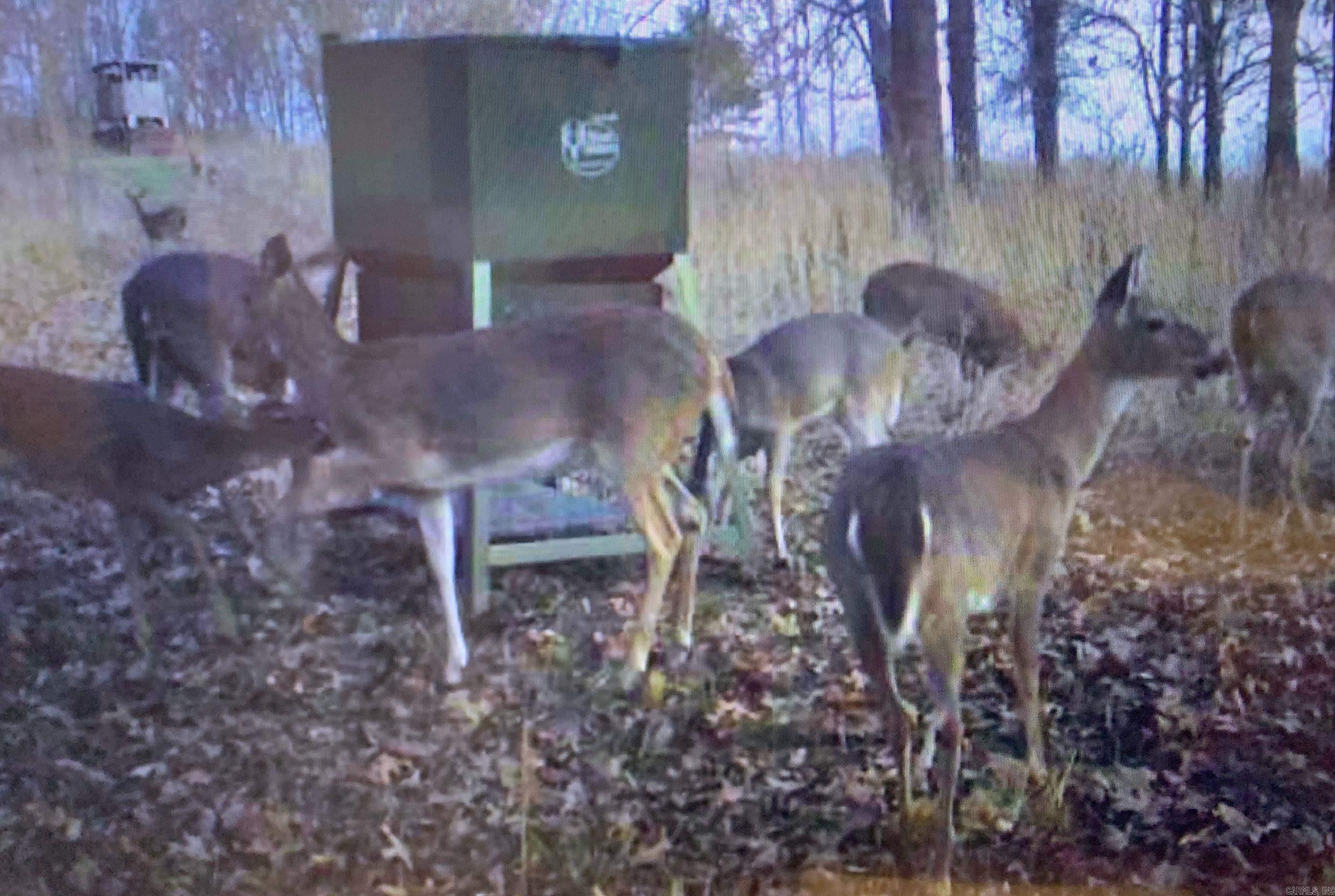 Photo 48 - Residential for sale – 55, 65, & 125  B Rock Ln   Batesville, AR