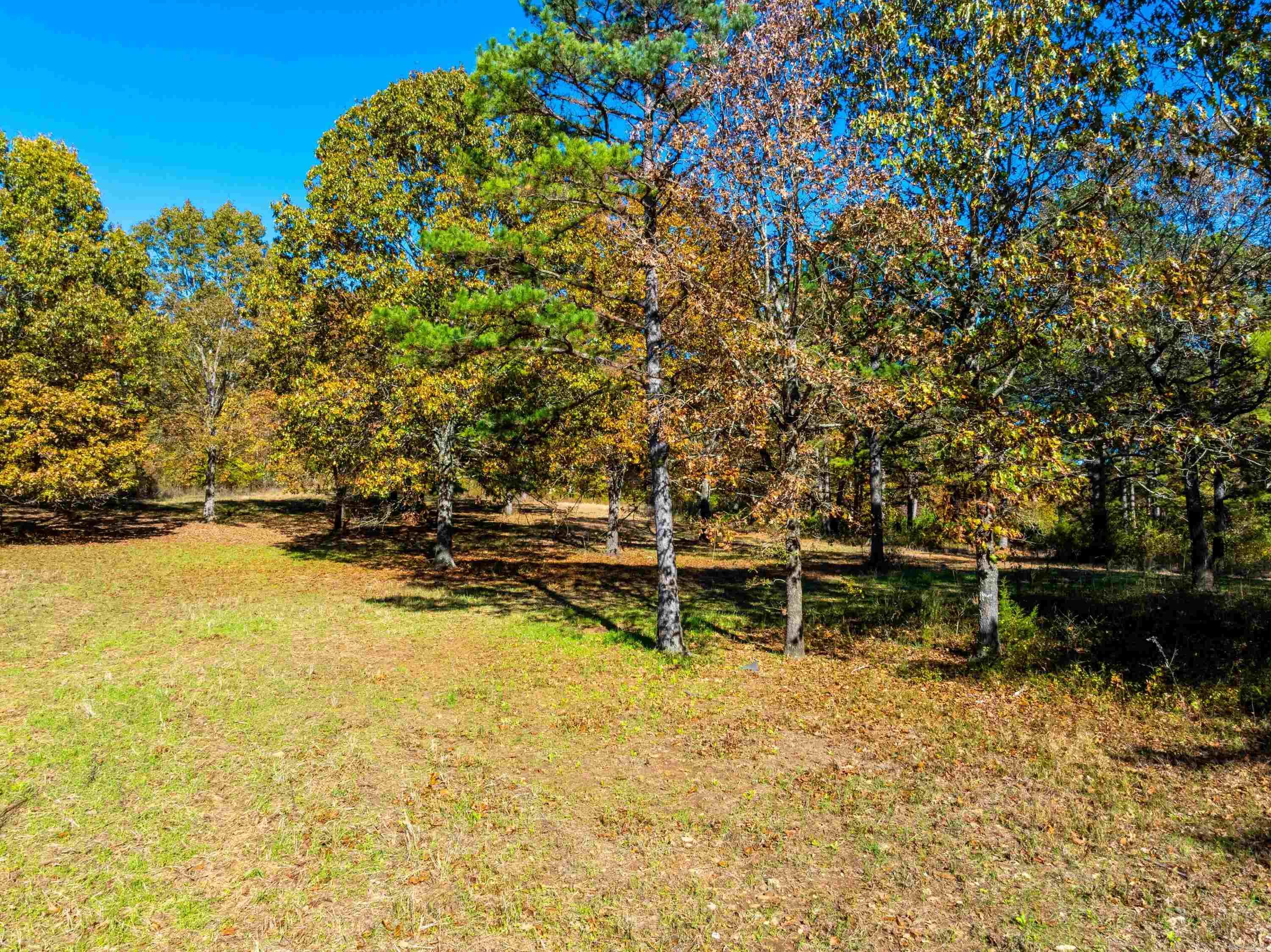 Photo 10 - Residential for sale – 55, 65, & 125  B Rock Ln   Batesville, AR