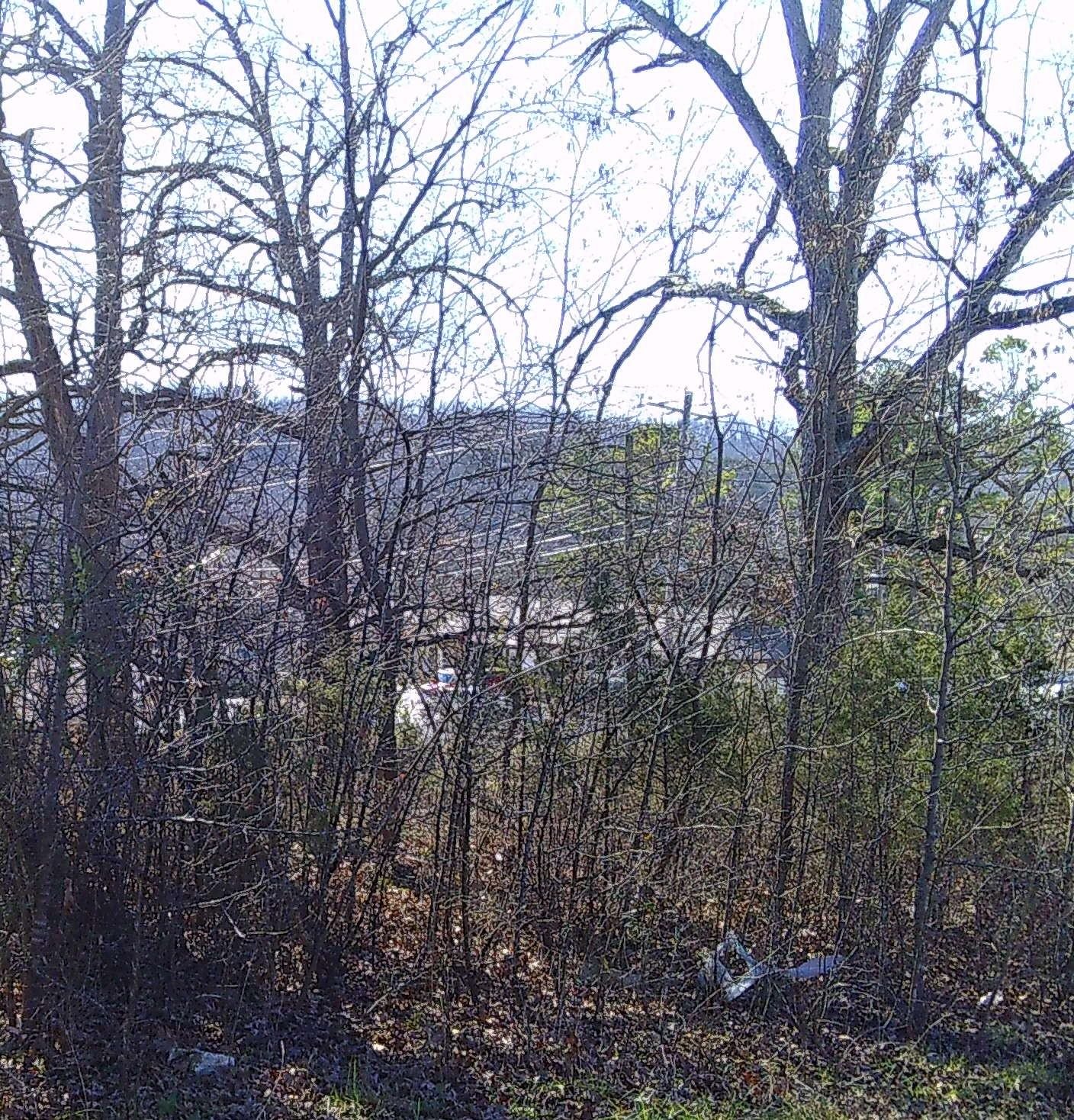 Photo 4 - Vacant Land for sale – TBD  Church Street   Hardy, AR