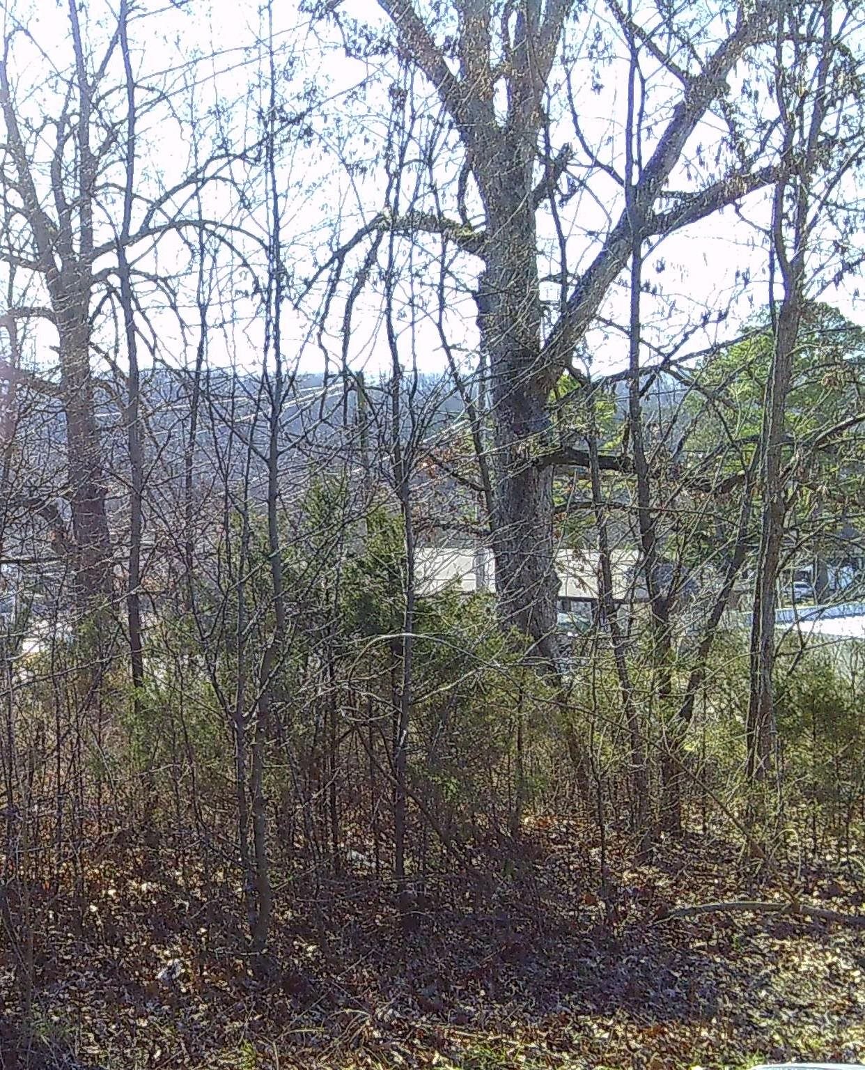 Photo 6 - Vacant Land for sale – TBD  Church Street   Hardy, AR