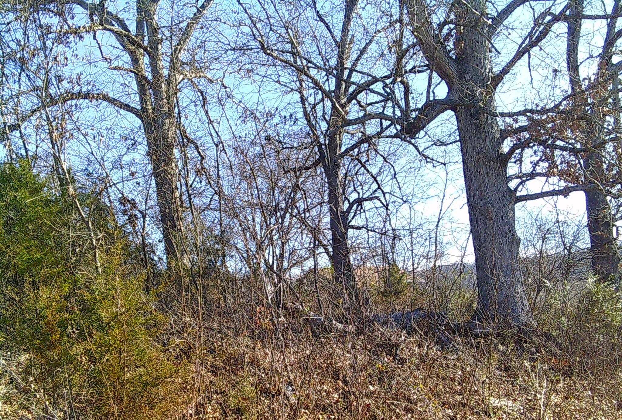 Photo 7 - Vacant Land for sale – TBD  Church Street   Hardy, AR