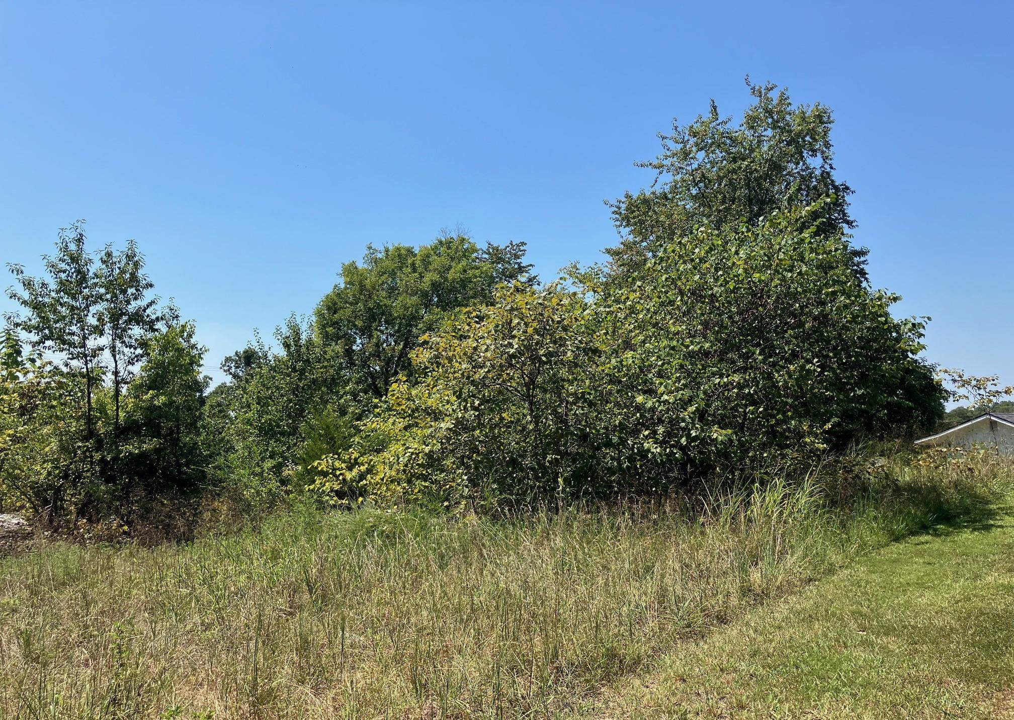 Vacant Land for sale – 1942  Hwy 63 E   Hardy, AR