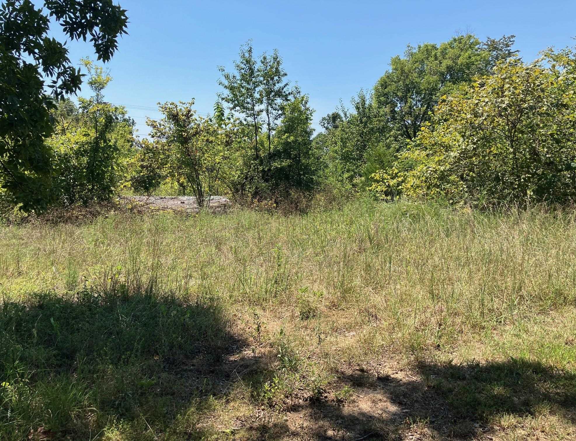 Photo 12 - Vacant Land for sale – 1942  Hwy 63 E   Hardy, AR