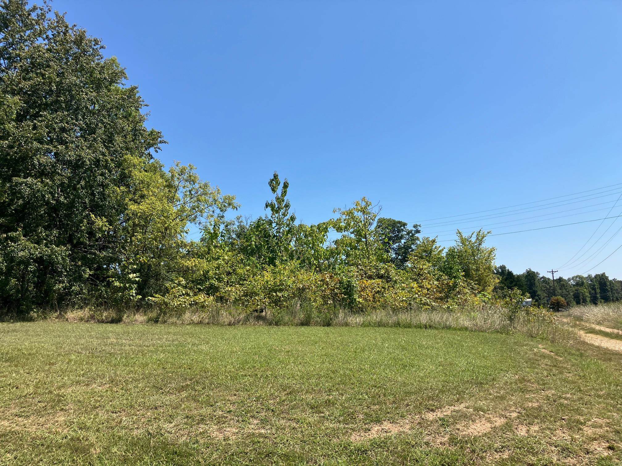 Photo 6 - Vacant Land for sale – 1942  Hwy 63 E   Hardy, AR