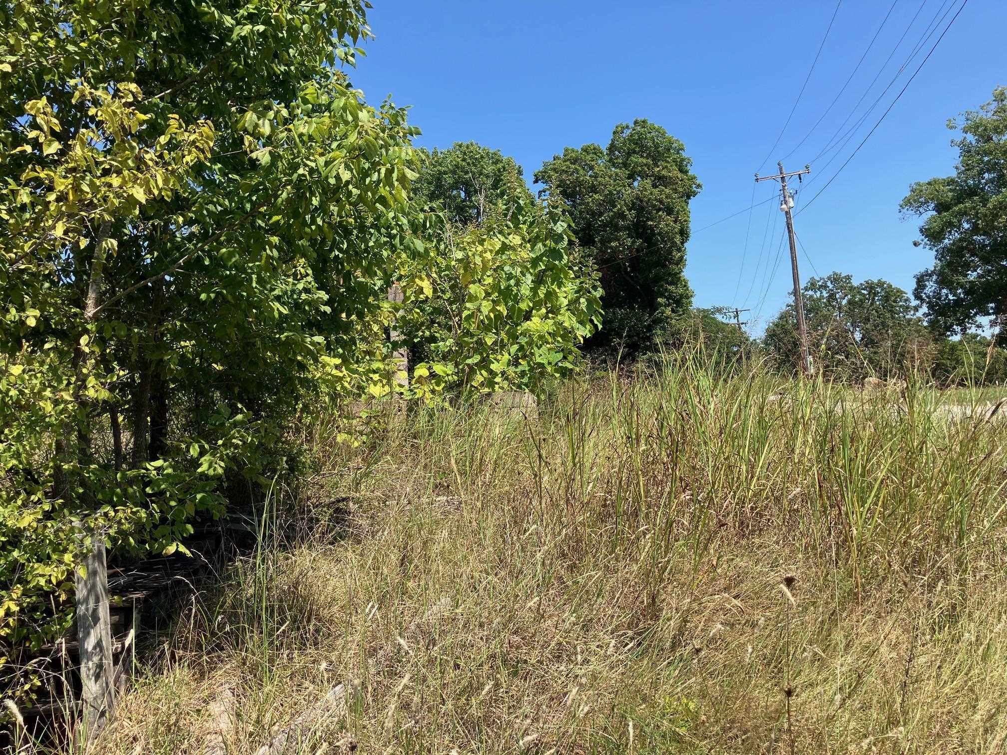 Photo 10 - Vacant Land for sale – 1942  Hwy 63 E   Hardy, AR