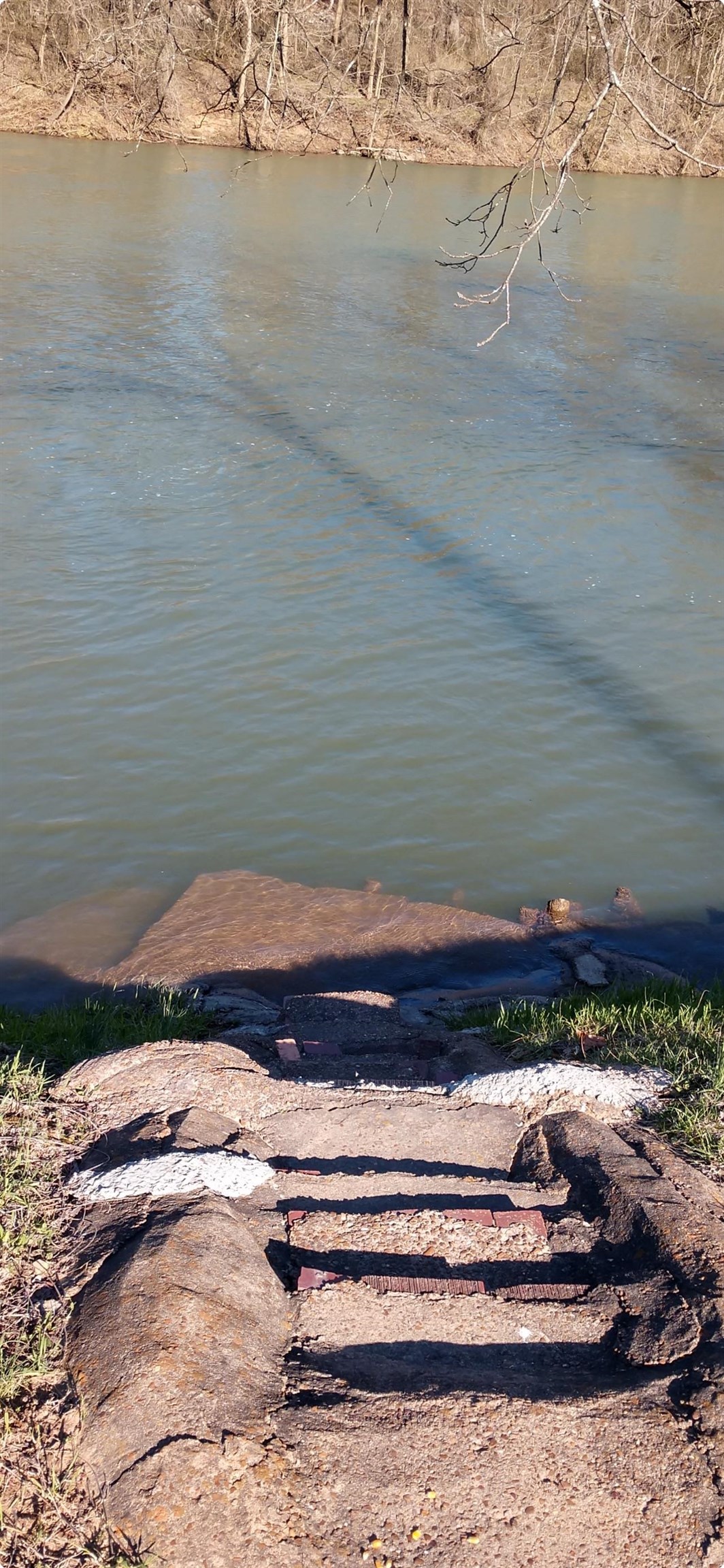 Photo 13 - Vacant Land for sale – 377  Springwood Ter   Hardy, AR