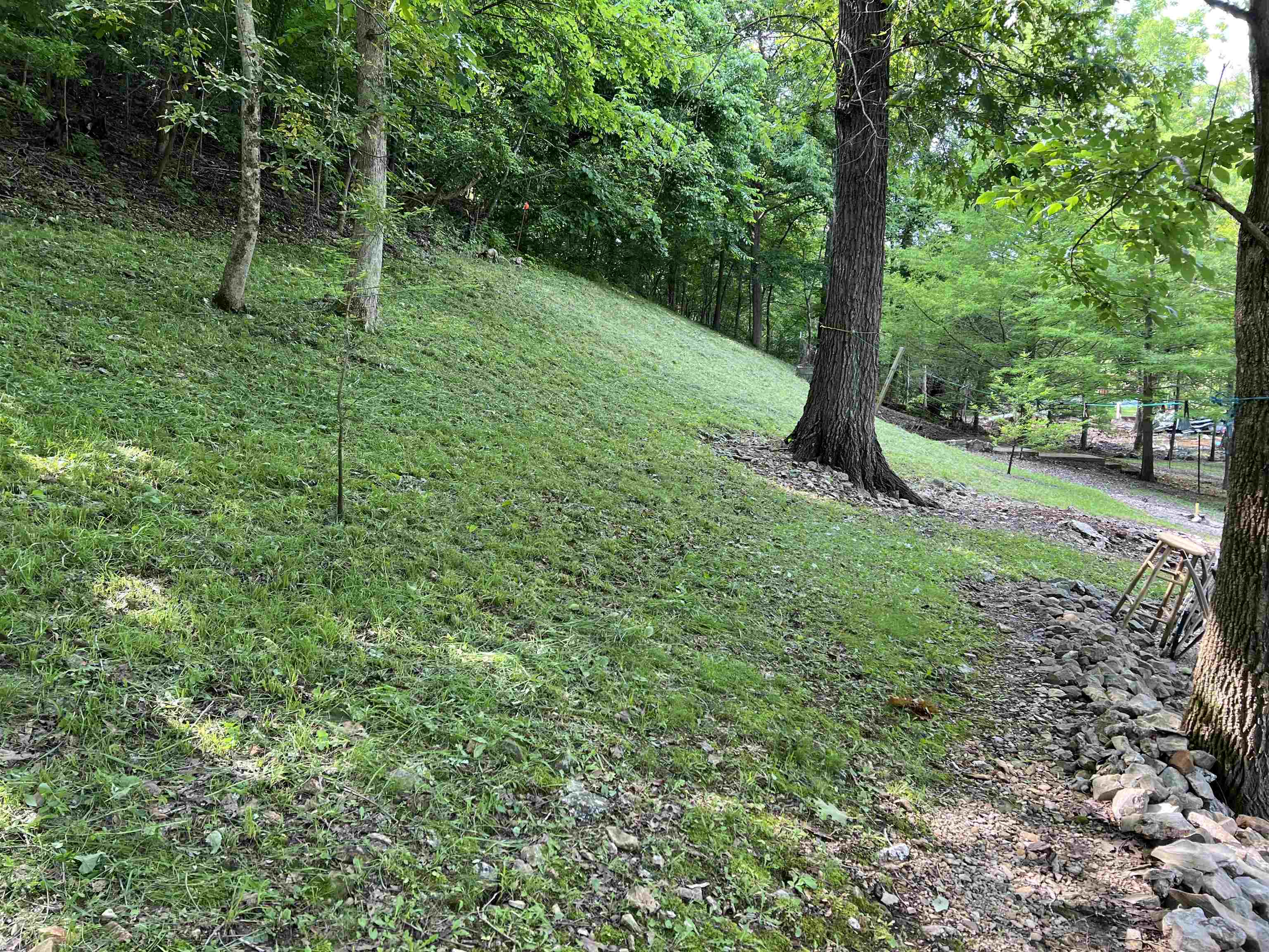 Photo 3 - Vacant Land for sale – 377  Springwood Ter   Hardy, AR