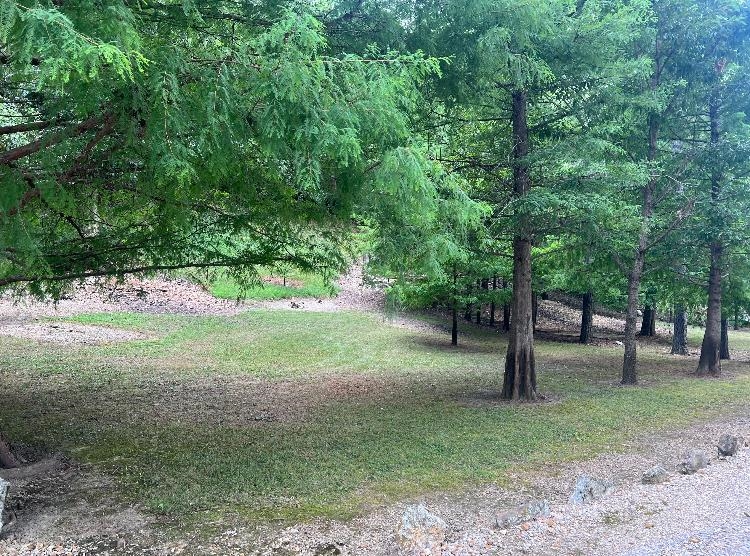 Photo 22 - Vacant Land for sale – 377  Springwood Ter   Hardy, AR