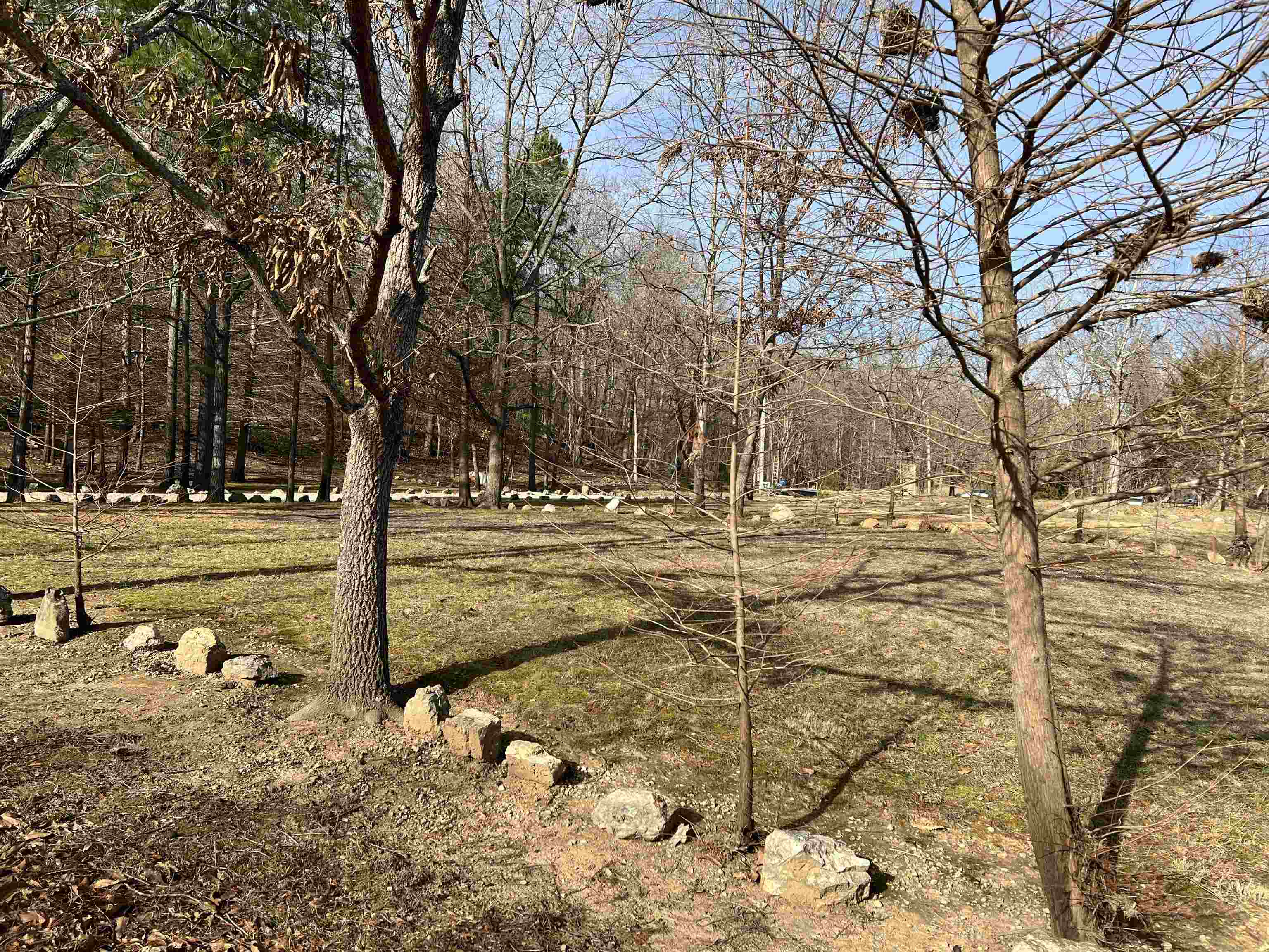 Photo 6 - Vacant Land for sale – 377  Springwood Ter   Hardy, AR