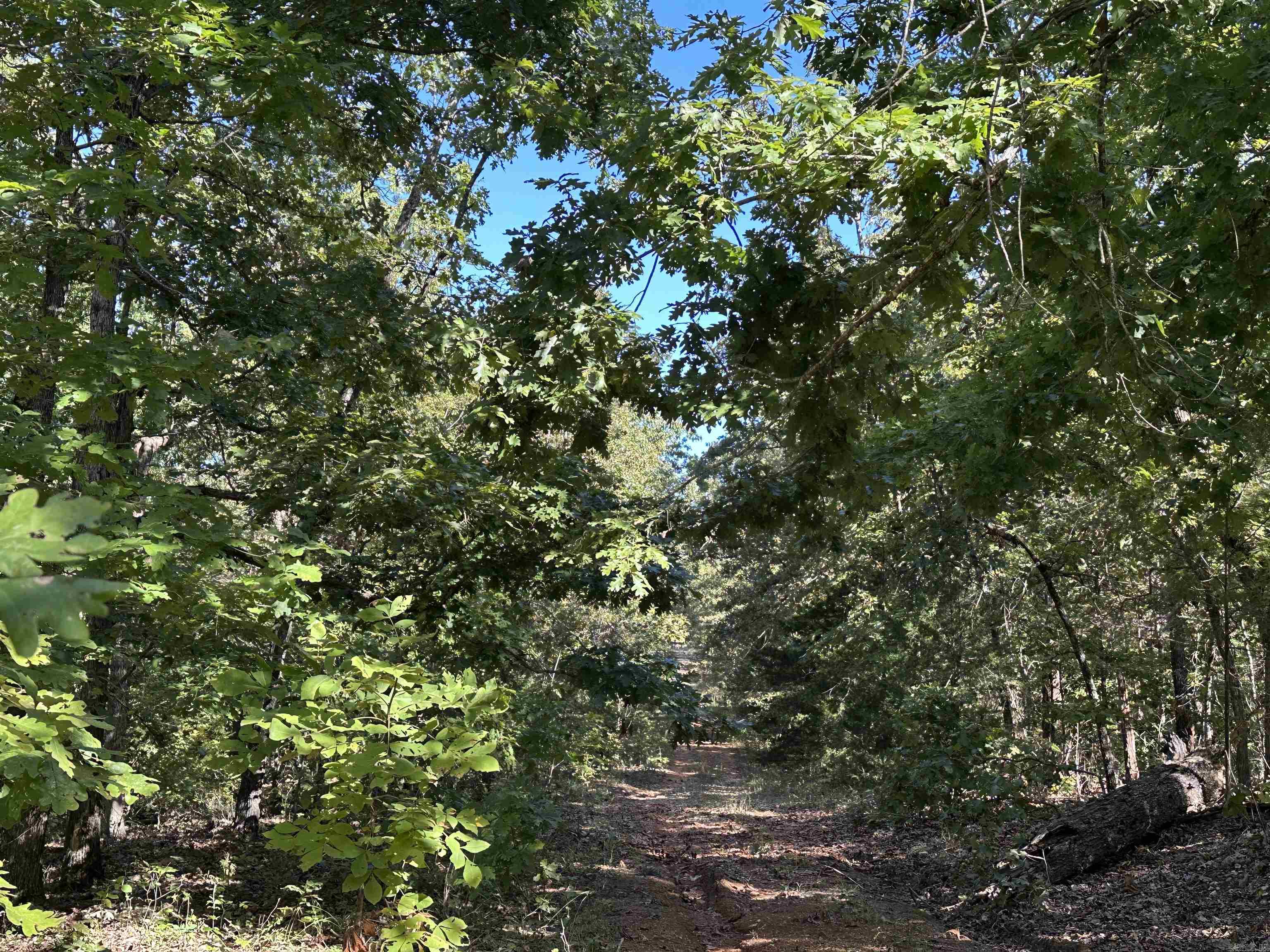 Photo 2 - Vacant Land for sale – 1609  Old Strawberry Lane   Horseshoe Bend, AR