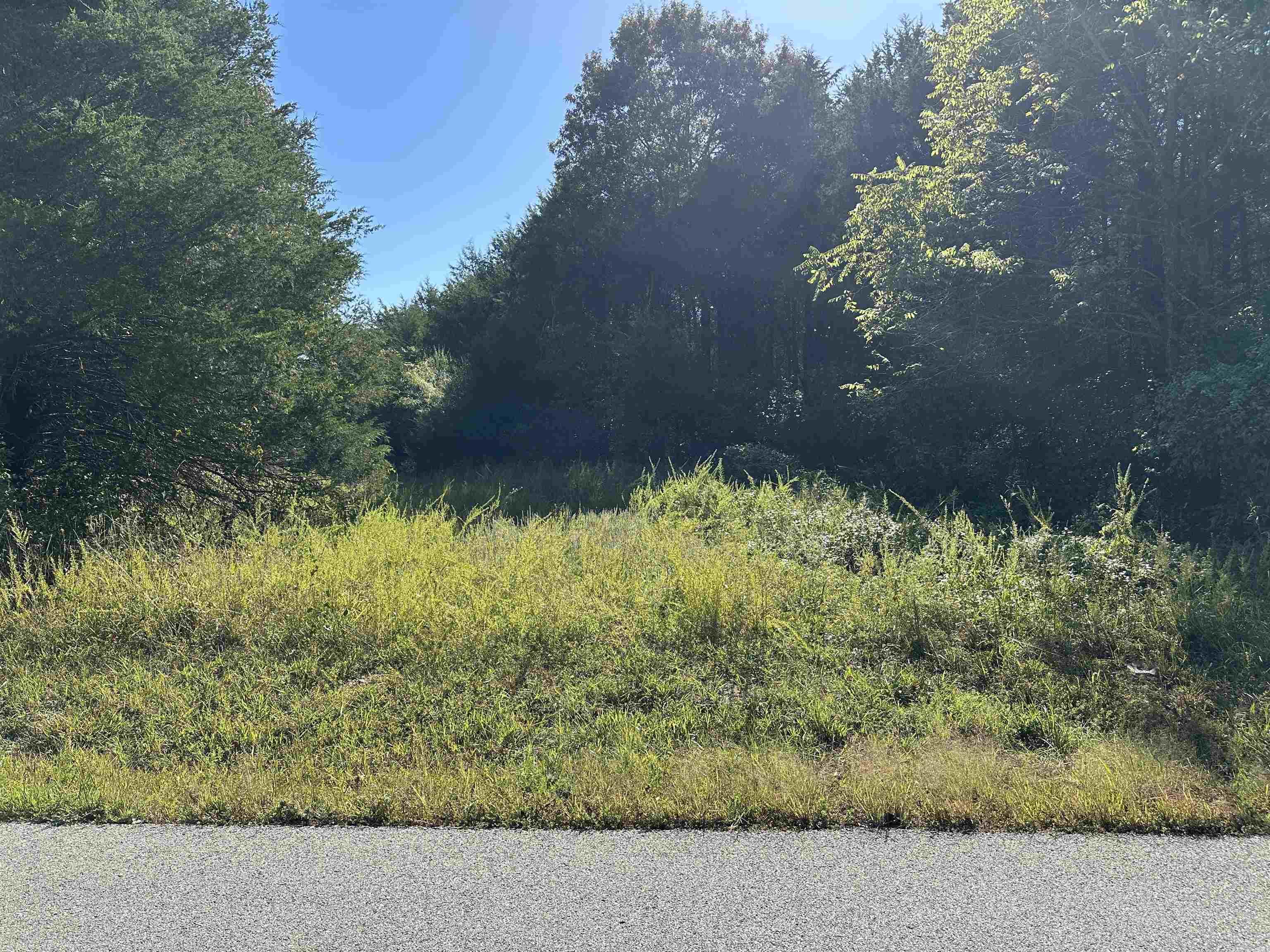 Photo 4 - Vacant Land for sale – 1609  Old Strawberry Lane   Horseshoe Bend, AR