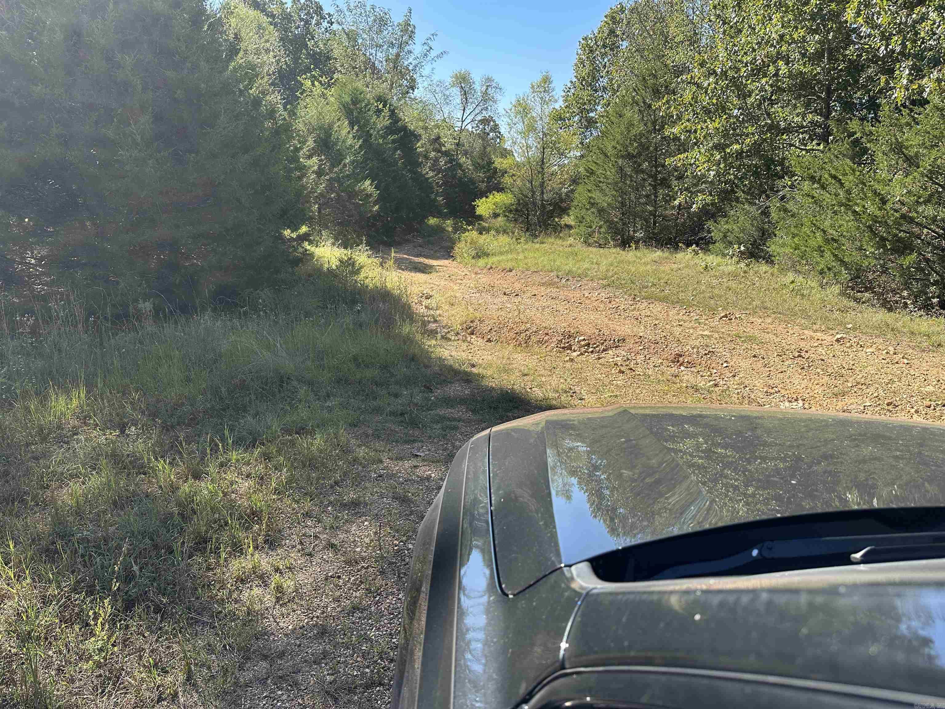 Photo 6 - Vacant Land for sale – 1609  Old Strawberry Lane   Horseshoe Bend, AR