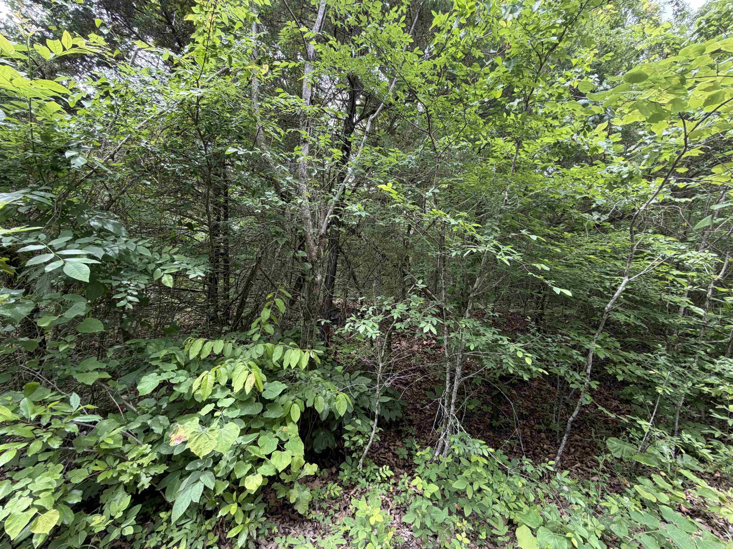 Vacant Land for sale – 001  Clark Lane   Horseshoe Bend, AR