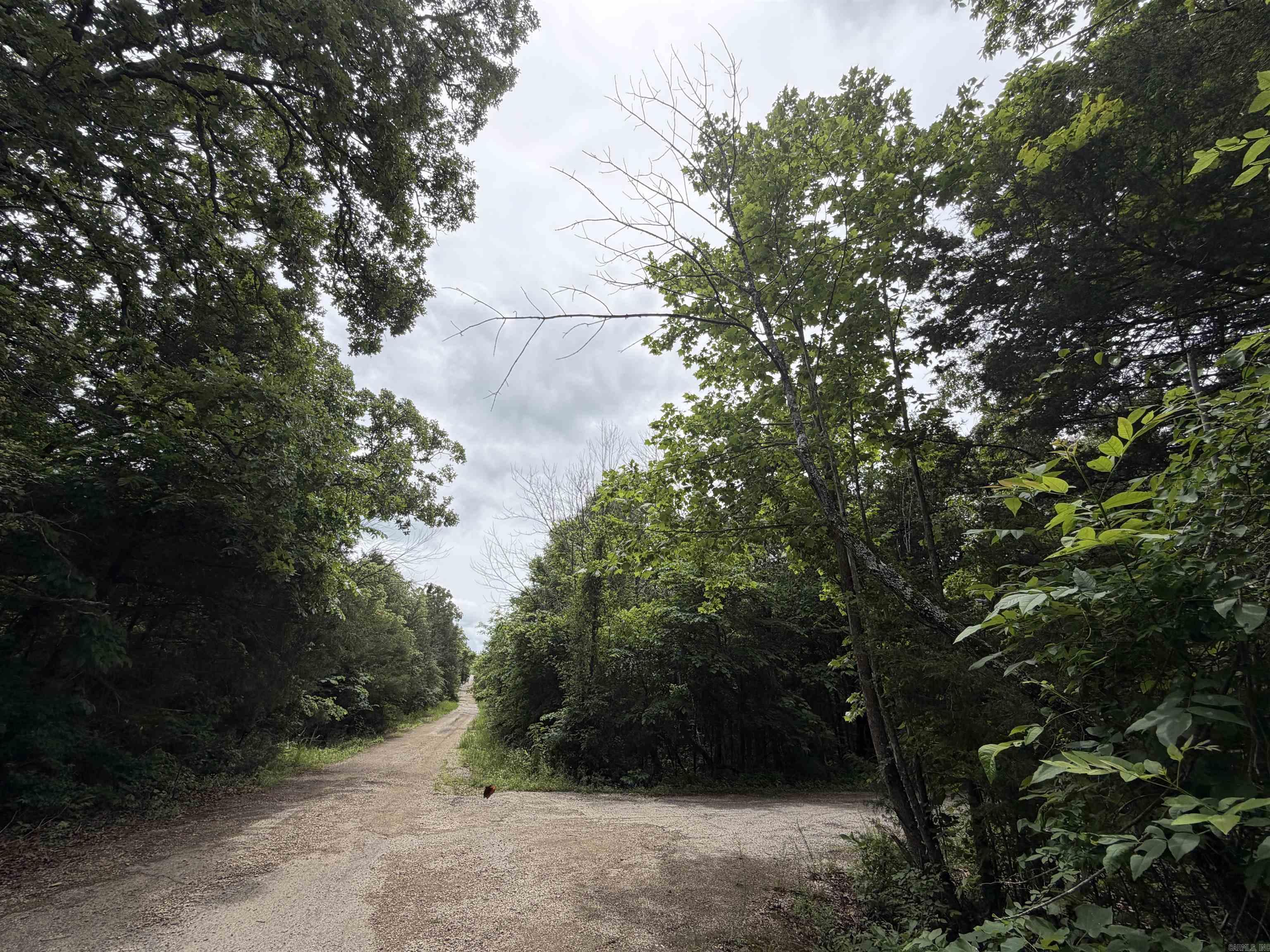 Photo 2 - Vacant Land for sale – 001  Clark Lane   Horseshoe Bend, AR