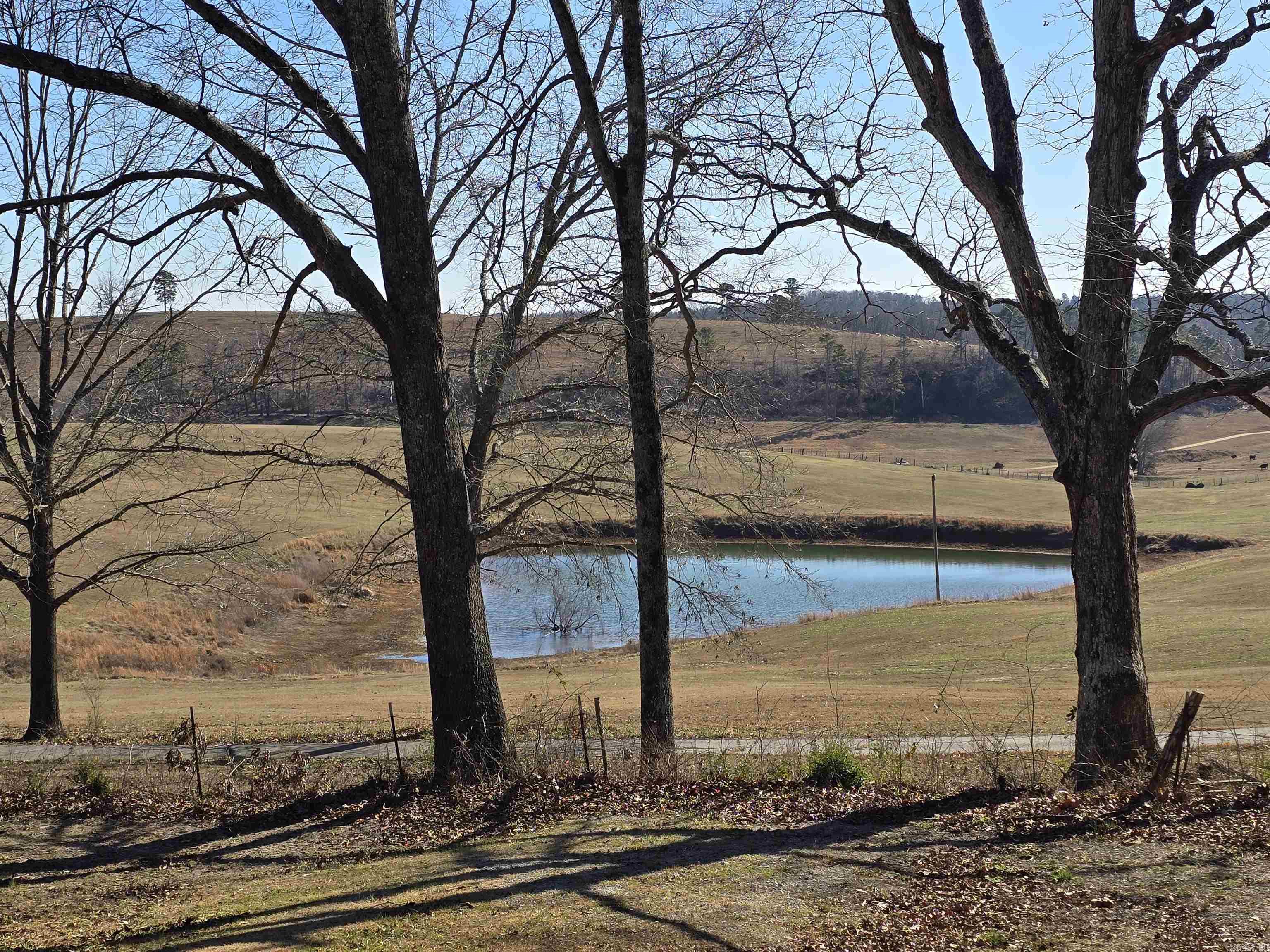 Photo 9 - Residential for sale – 1328  Knob Creek   Melbourne, AR