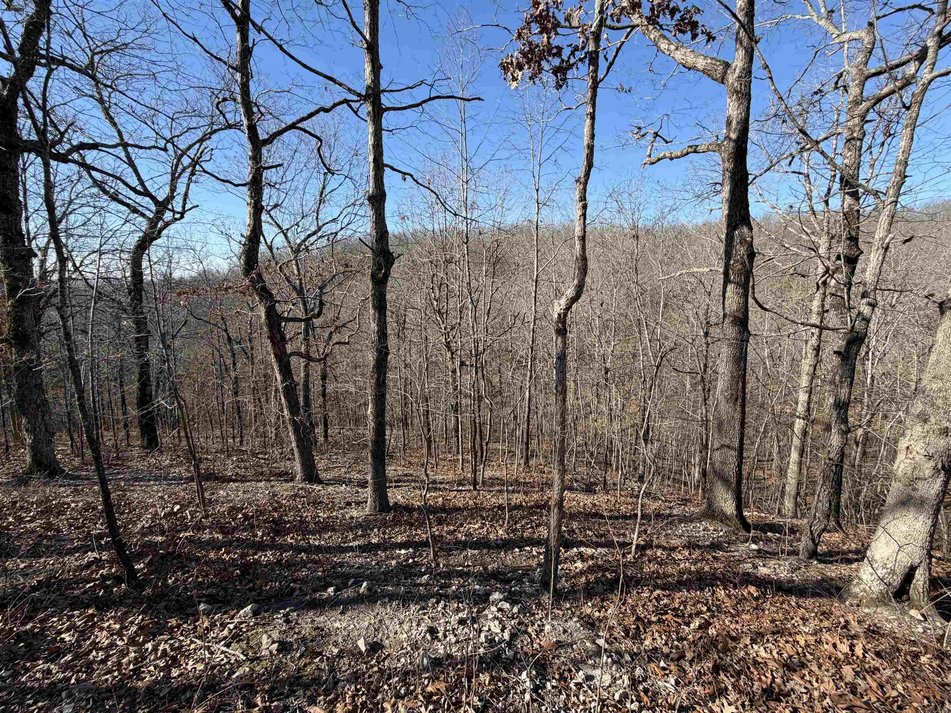 Photo 8 - Residential for sale – 579  Falcon Way   Mount Pleasant, AR