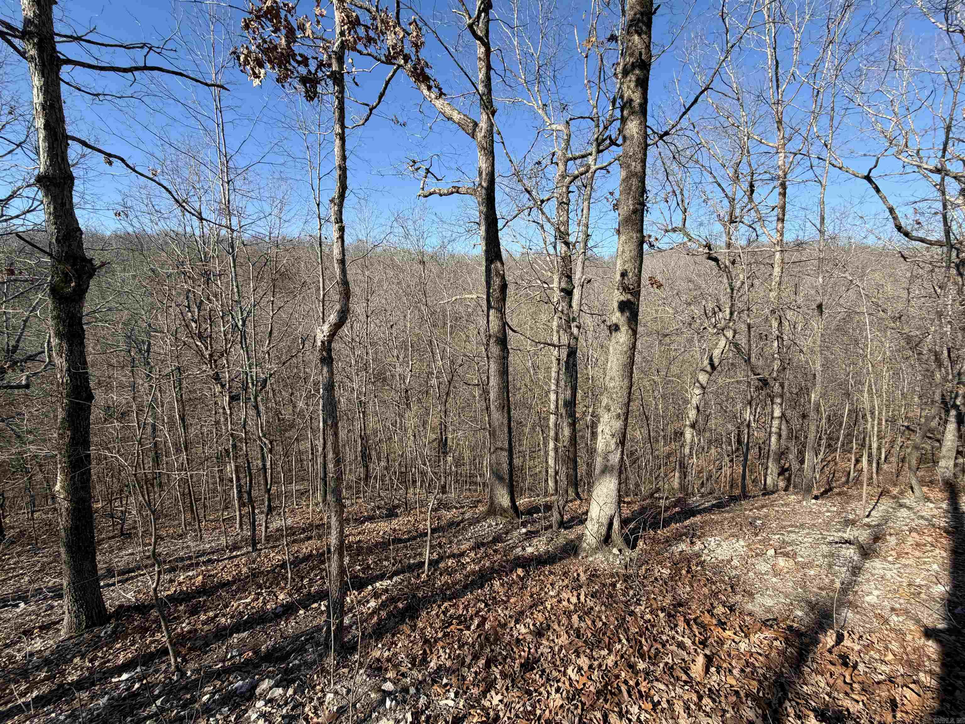 Photo 9 - Residential for sale – 579  Falcon Way   Mount Pleasant, AR