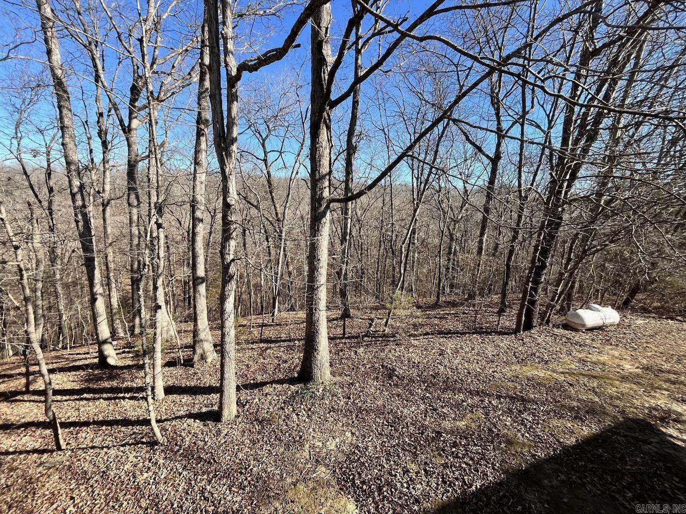 Photo 27 - Residential for sale – 750  Melton   Batesville, AR