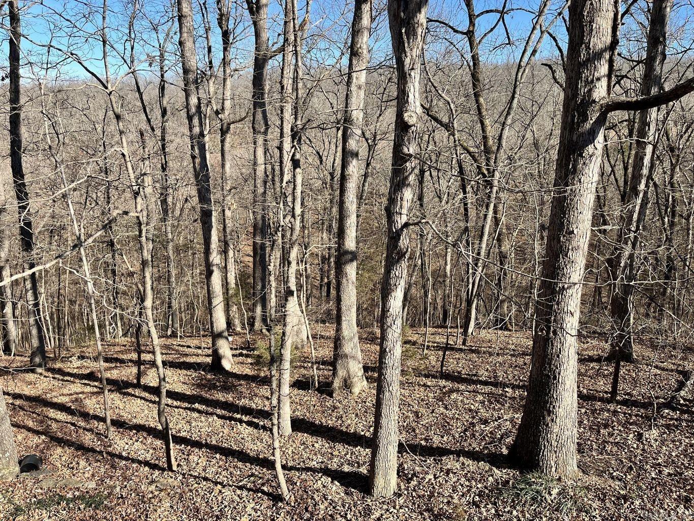 Photo 28 - Residential for sale – 750  Melton   Batesville, AR