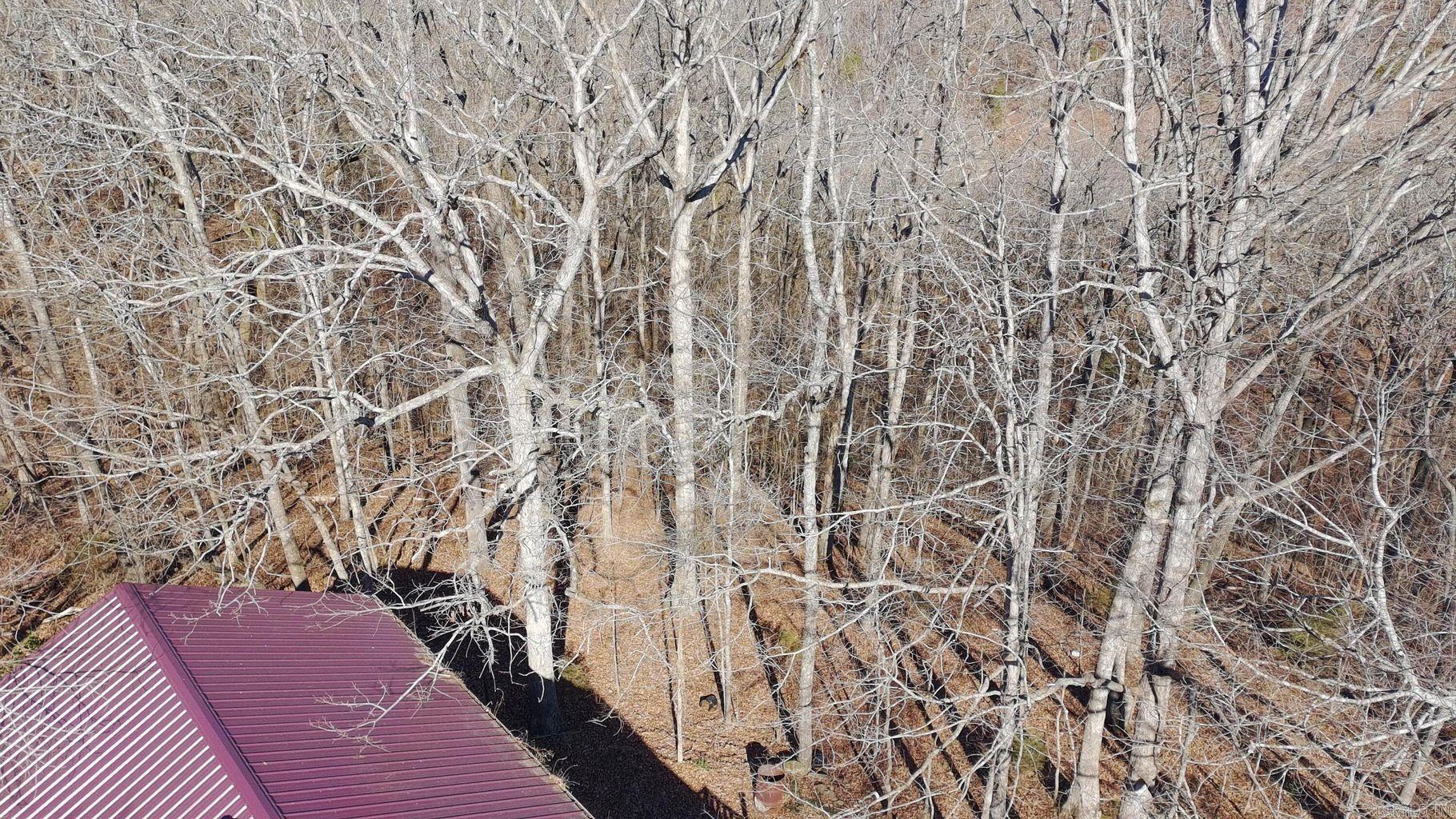 Photo 36 - Residential for sale – 750  Melton   Batesville, AR