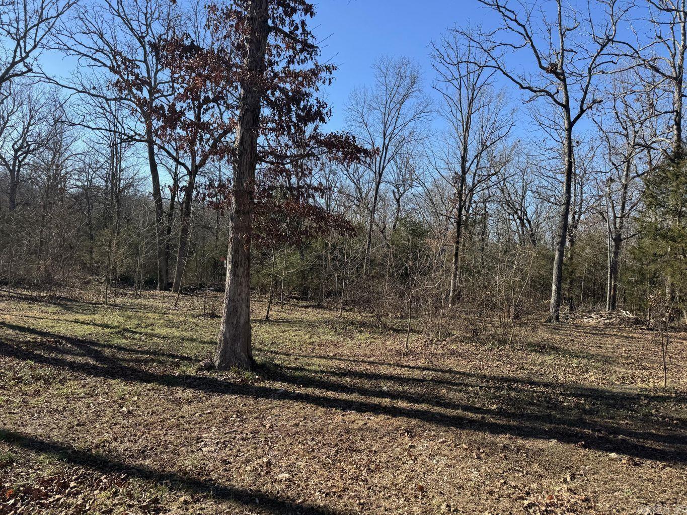 Photo 29 - Residential for sale – 1209  Hawk   Horseshoe Bend, AR