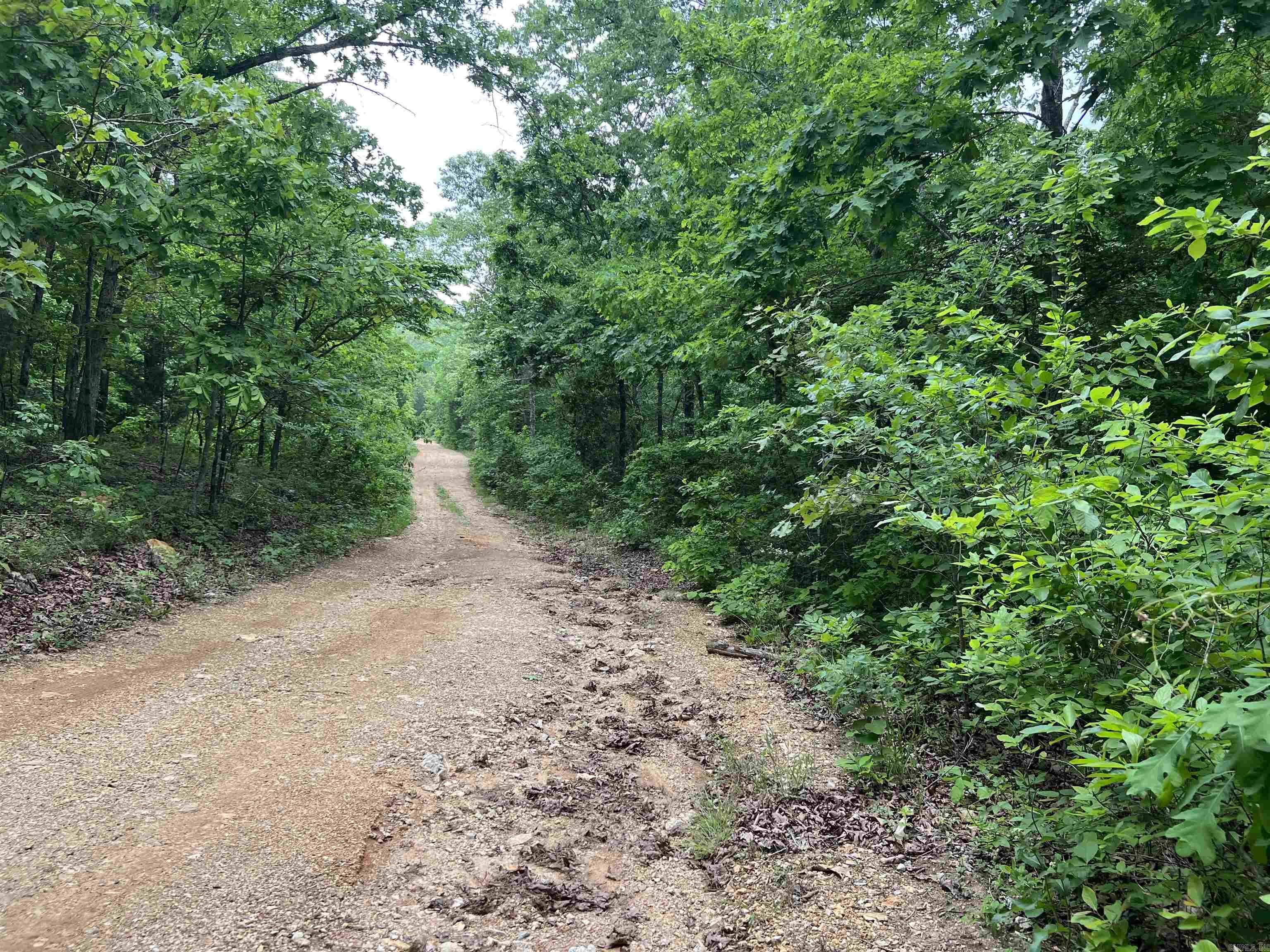 Vacant Land for sale – Lot 7  Tall Oaks Trail   Mammoth Spring, AR
