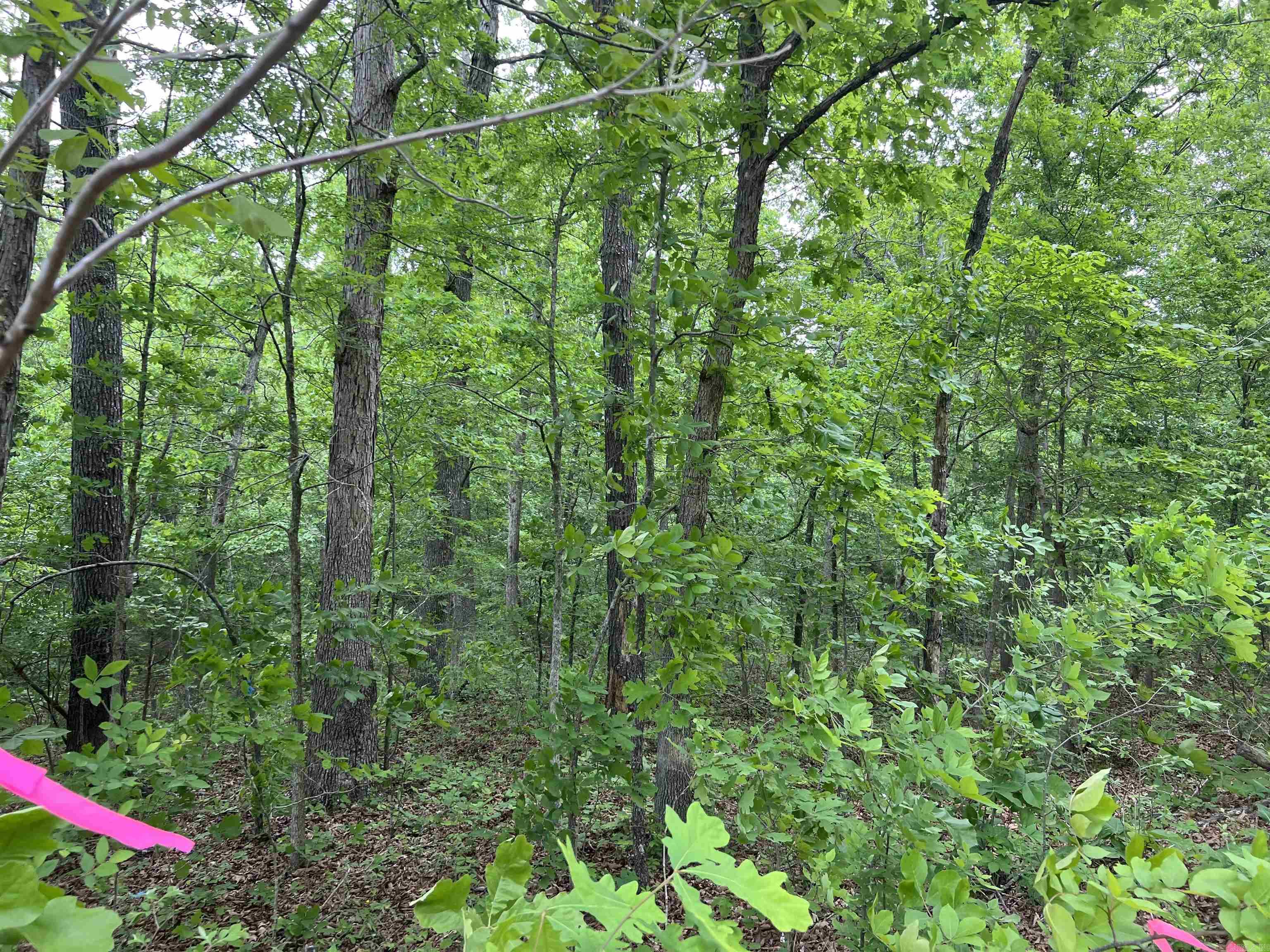 Photo 3 - Vacant Land for sale – Lot 7  Tall Oaks Trail   Mammoth Spring, AR