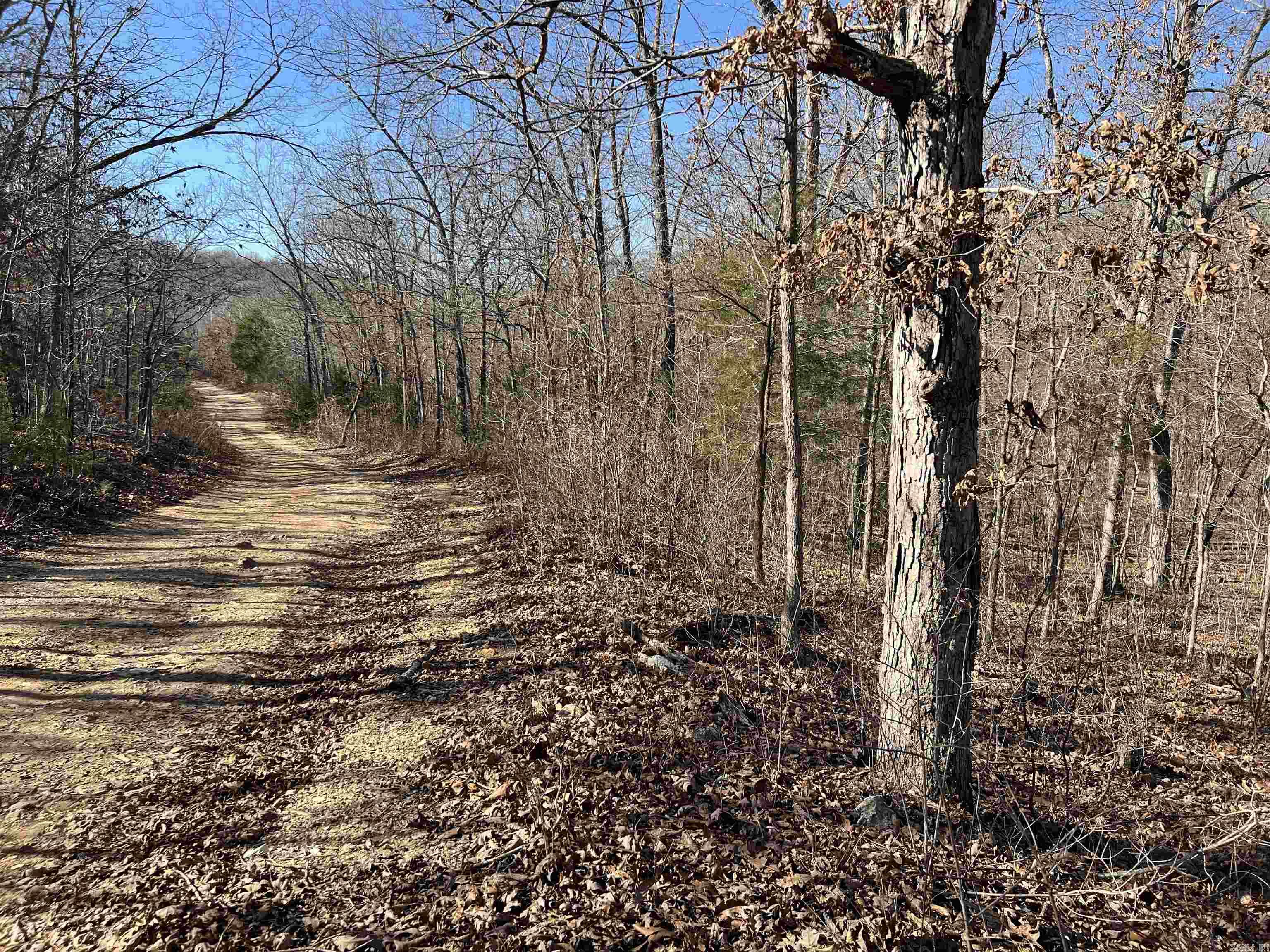 Photo 5 - Vacant Land for sale – 000  PR off Hwy 63   Mammoth Spring, AR