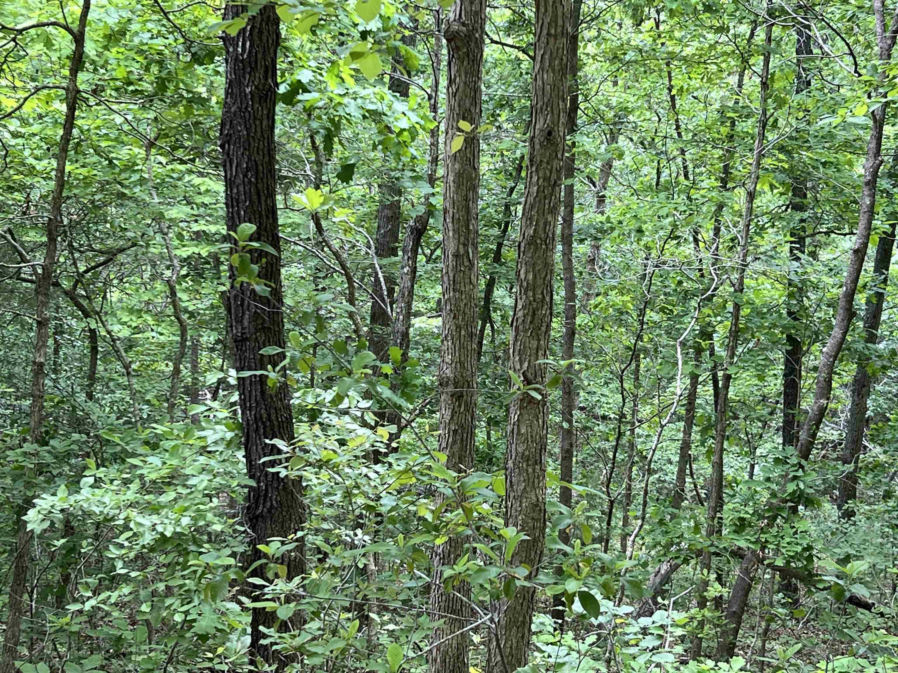 Photo 7 - Vacant Land for sale – Lot 7  Tall Oaks Trail   Mammoth Spring, AR