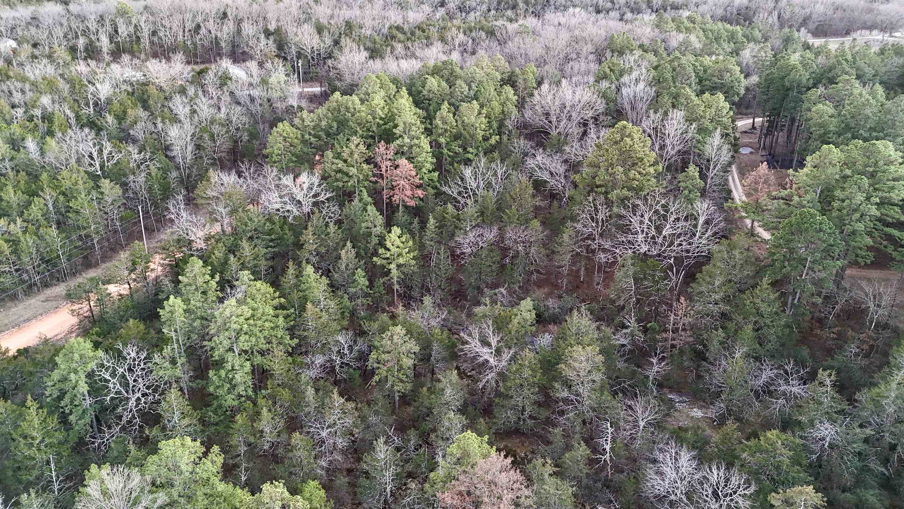 Photo 3 - Vacant Land for sale –   Ripplin Shoals Road   Melbourne, AR